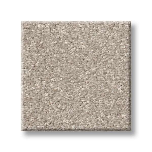 Style Tons Of Fun I 15 Carpet - Soft Sense Swatch