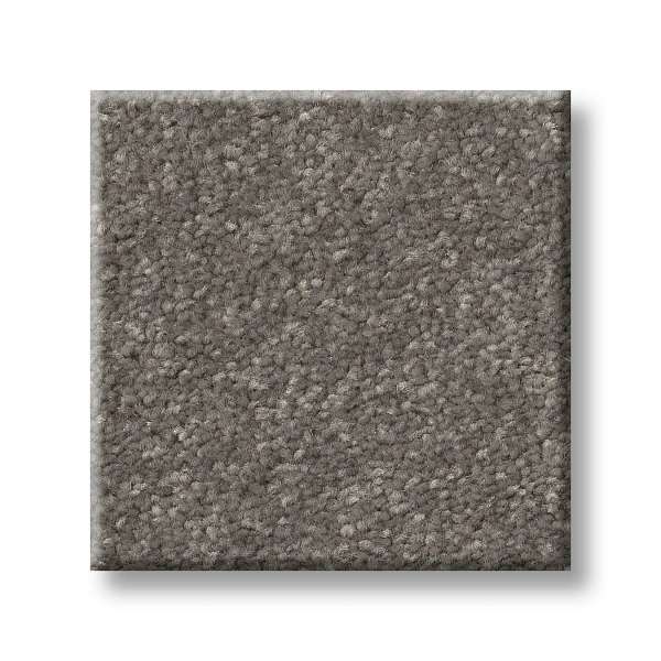 Style Tons Of Fun I 15 Carpet - Ashes Swatch