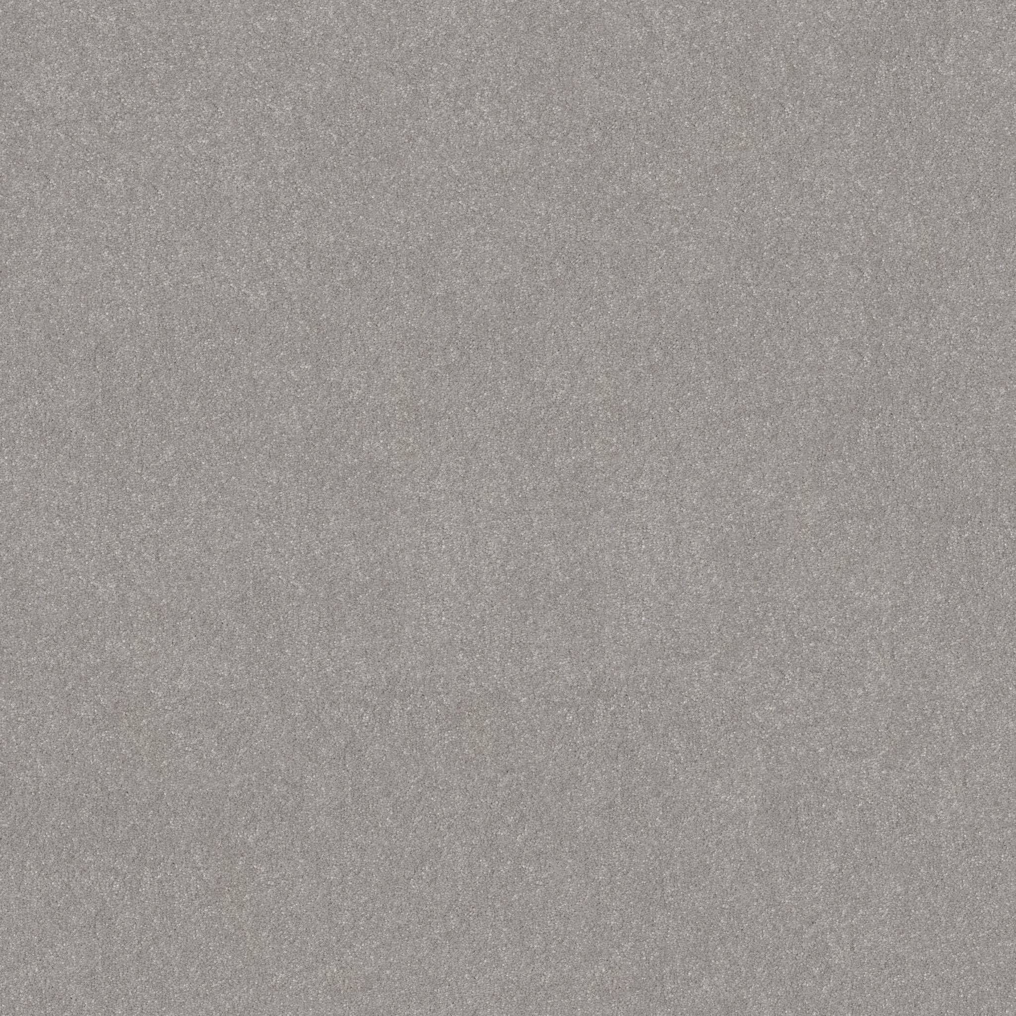 Tons Of Fun I 15 Carpet - Rock Crystal Zoomed Swatch Image