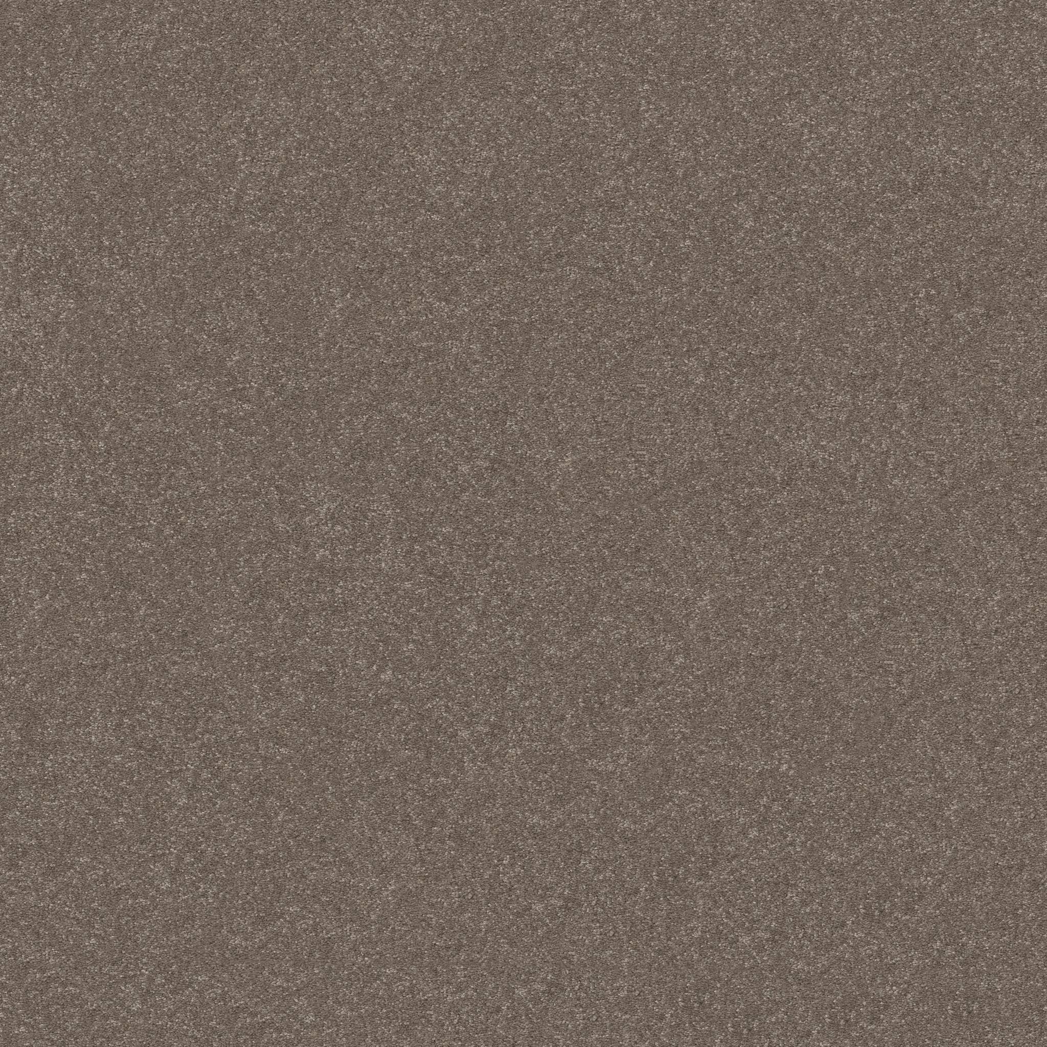 Tons Of Fun I 15 Carpet - Cobblestone Zoomed Swatch Image