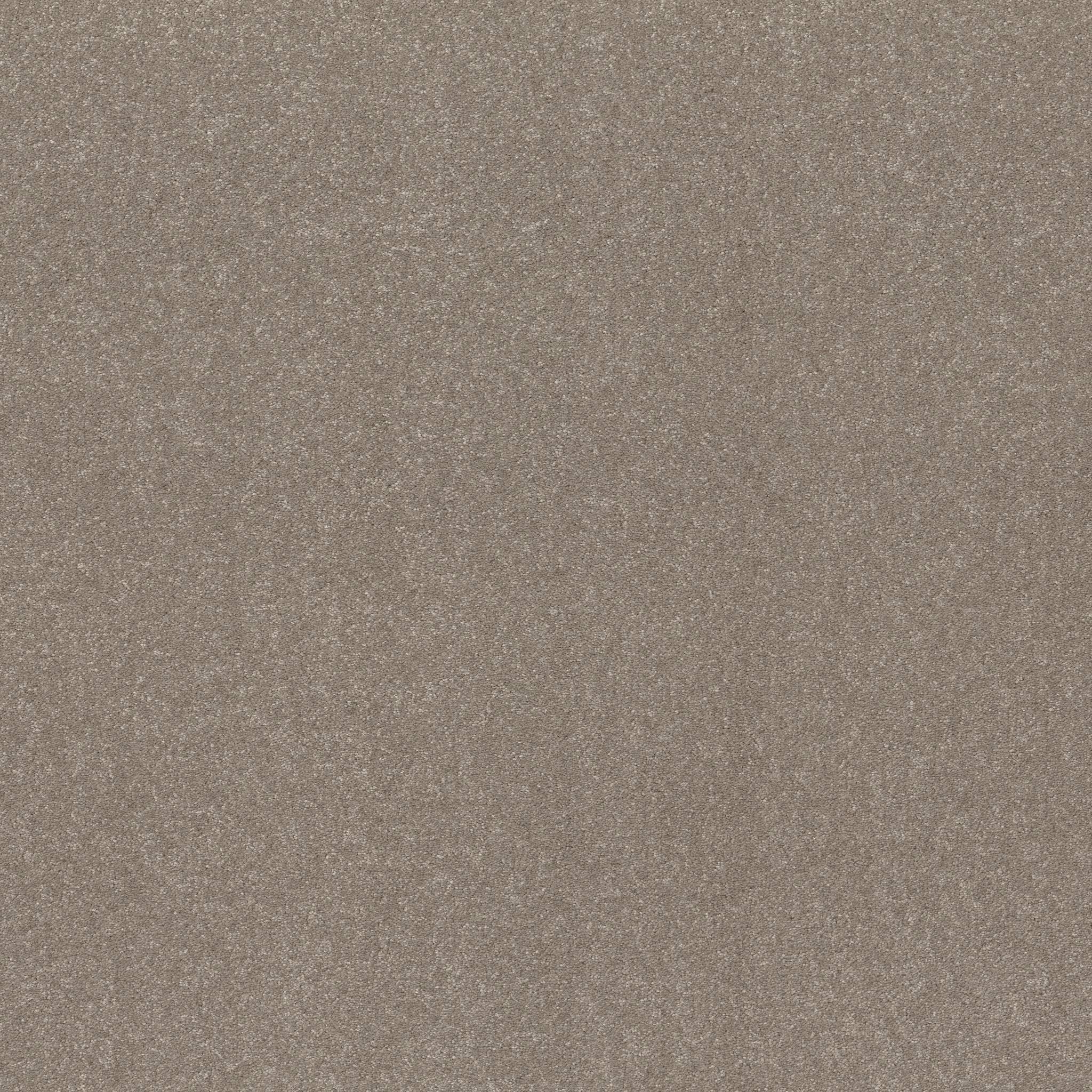 Tons Of Fun II 15 Carpet - Chic Greige Zoomed Swatch Image