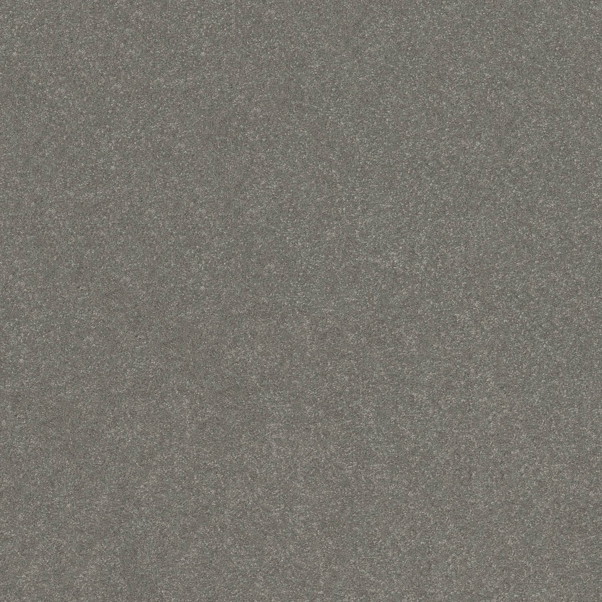 Tons Of Fun II 15 Carpet - Shy Sage Zoomed Swatch Image