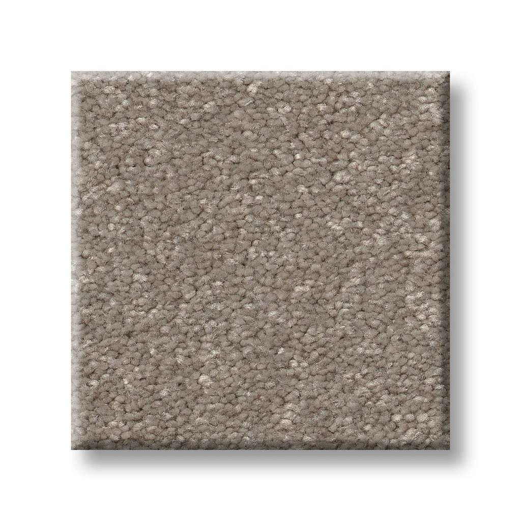 Tons Of Fun III 15 Carpet - Chic Greige  Swatch Image 
