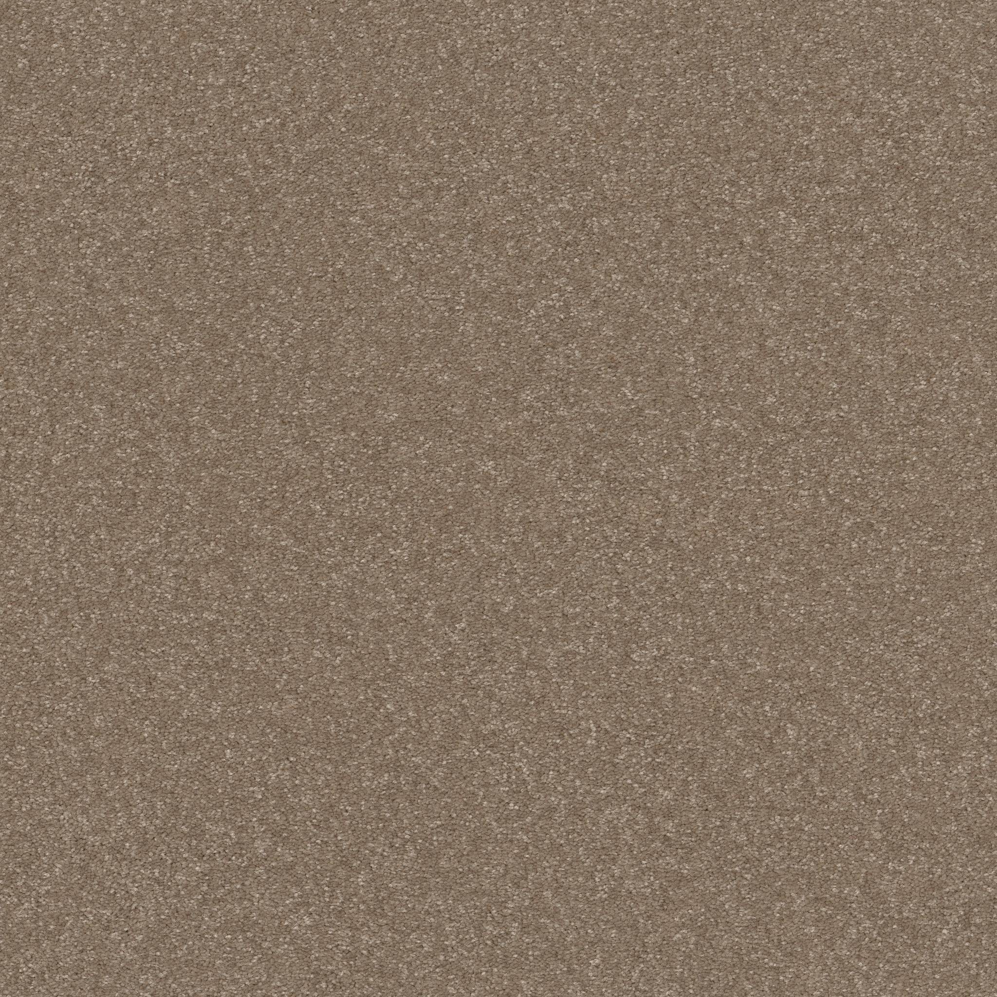 Tons Of Fun III 15 Carpet - Cameo Zoomed Swatch Image