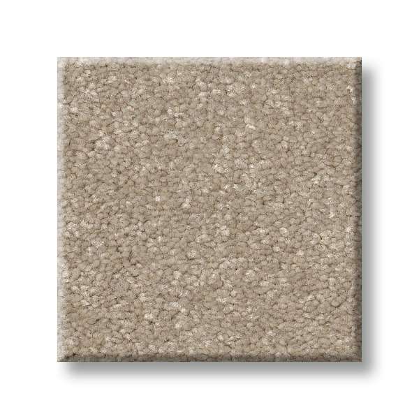 Style Tons Of Fun III 15 Carpet - Subtle Clay Swatch