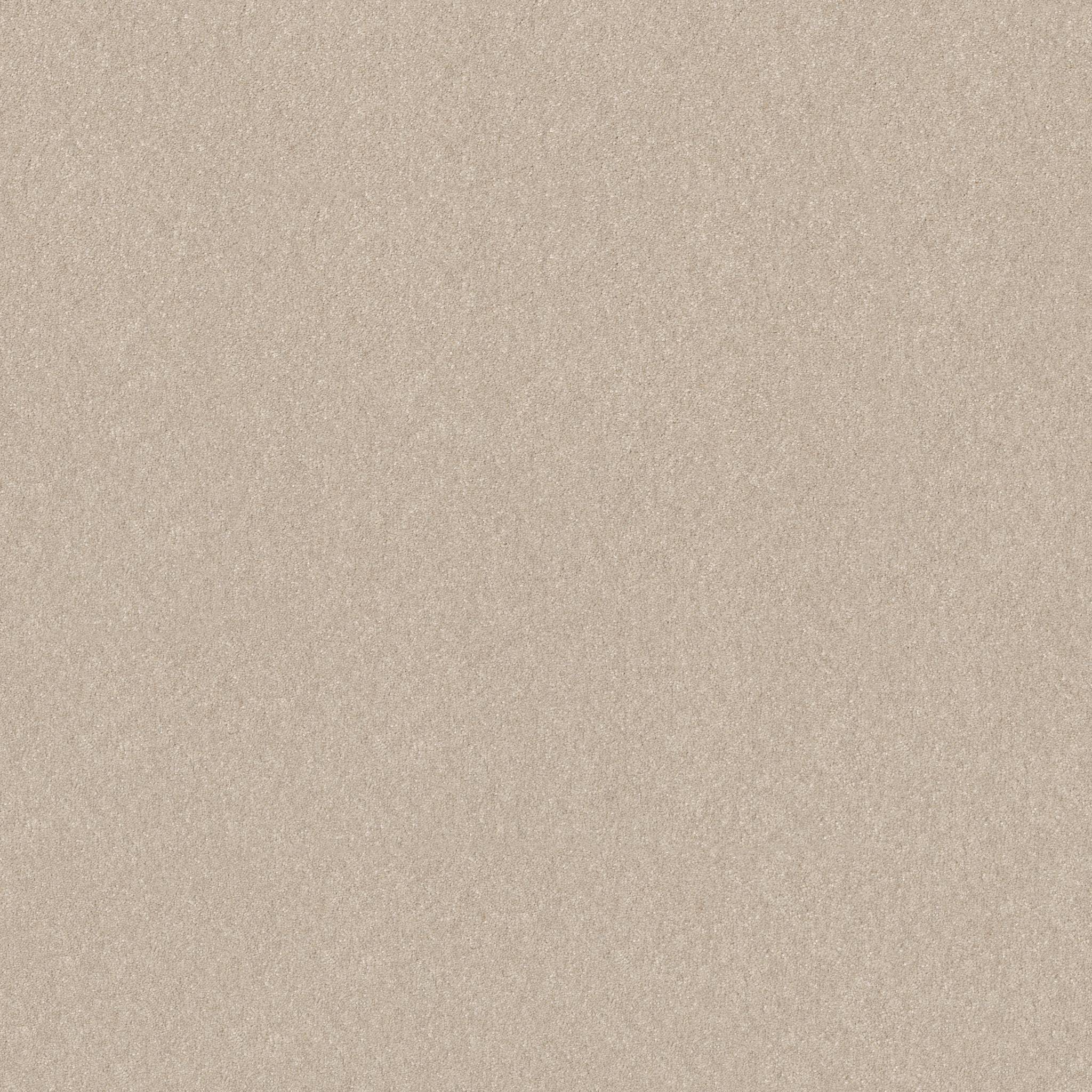 Tons Of Fun III 15 Carpet - Warm Light Zoomed Swatch Image