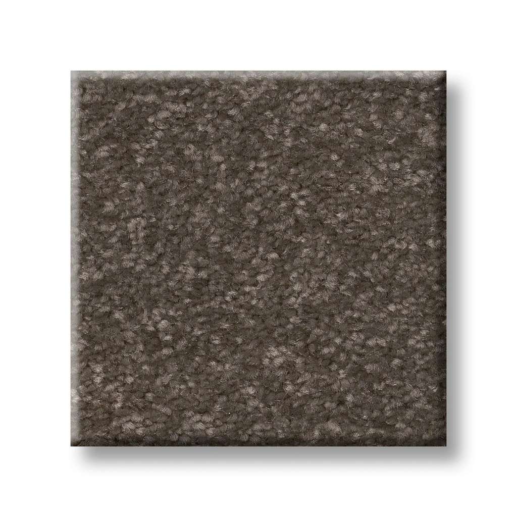 Tons Of Fun III 15 Carpet - Urban Rustic  Swatch Image 