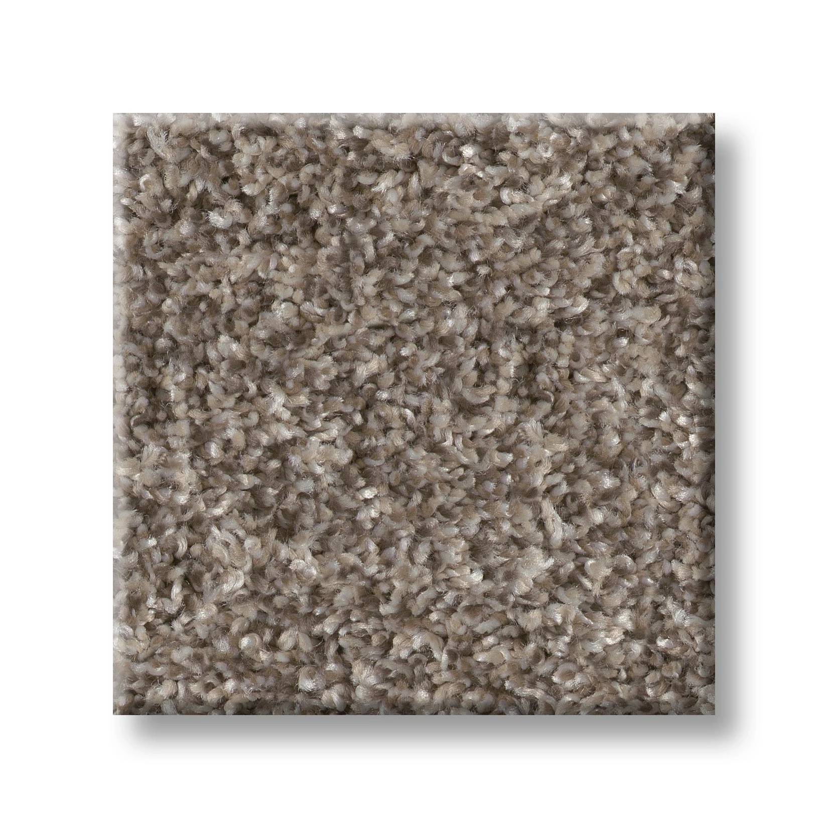 Affirmative I 15 Carpet - Soft Sense Swatch Thumbnail pupop1