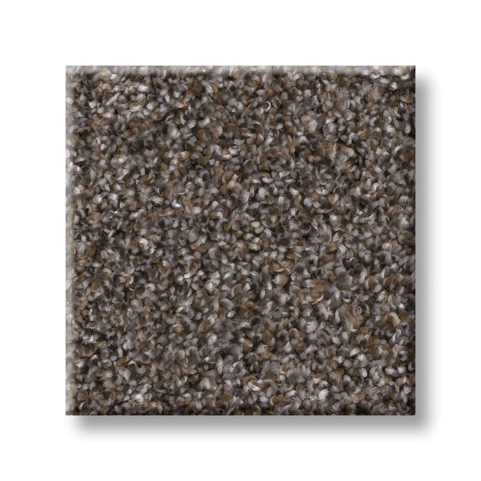 Affirmative II 15 Carpet - Cafe Noir Swatch Thumbnail pupop1