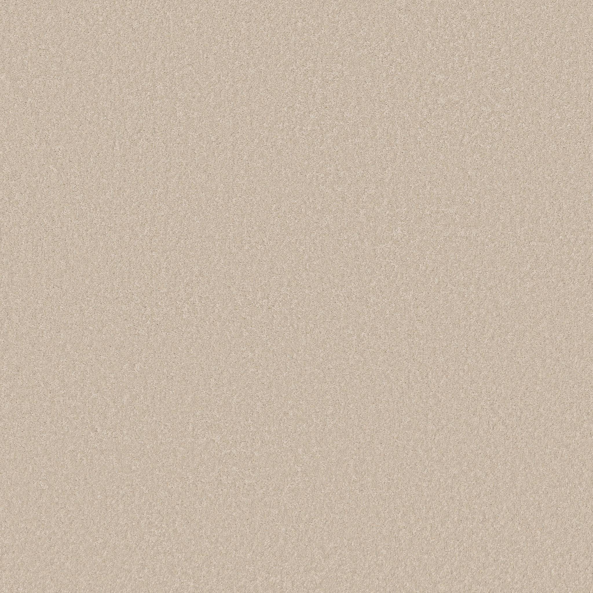 Exceptional I Carpet - Soft Landing Zoomed Swatch Image