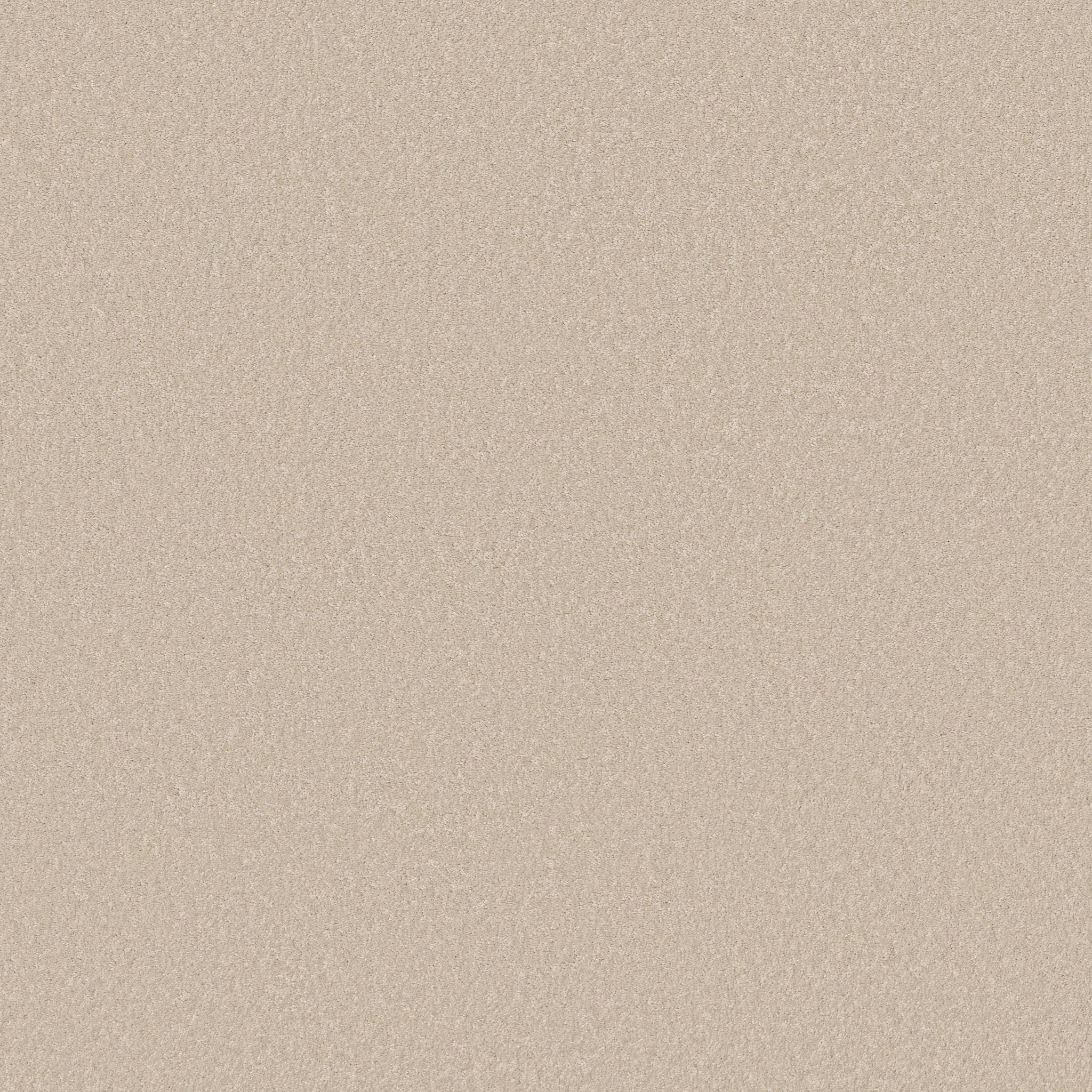 Exceptional I Carpet - Soft Landing Zoomed Swatch Image