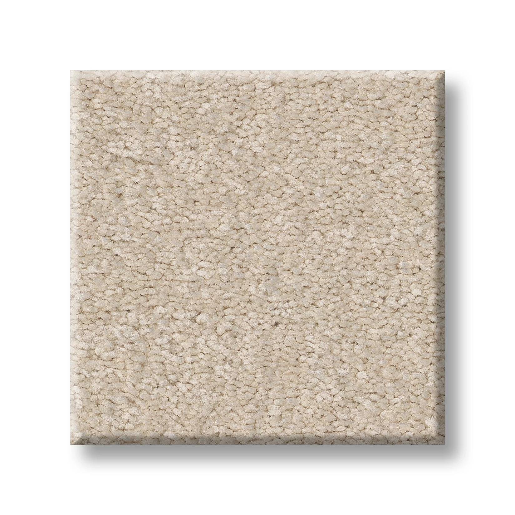 Exceptional I Carpet - Soft Landing Swatch Thumbnail pupop1