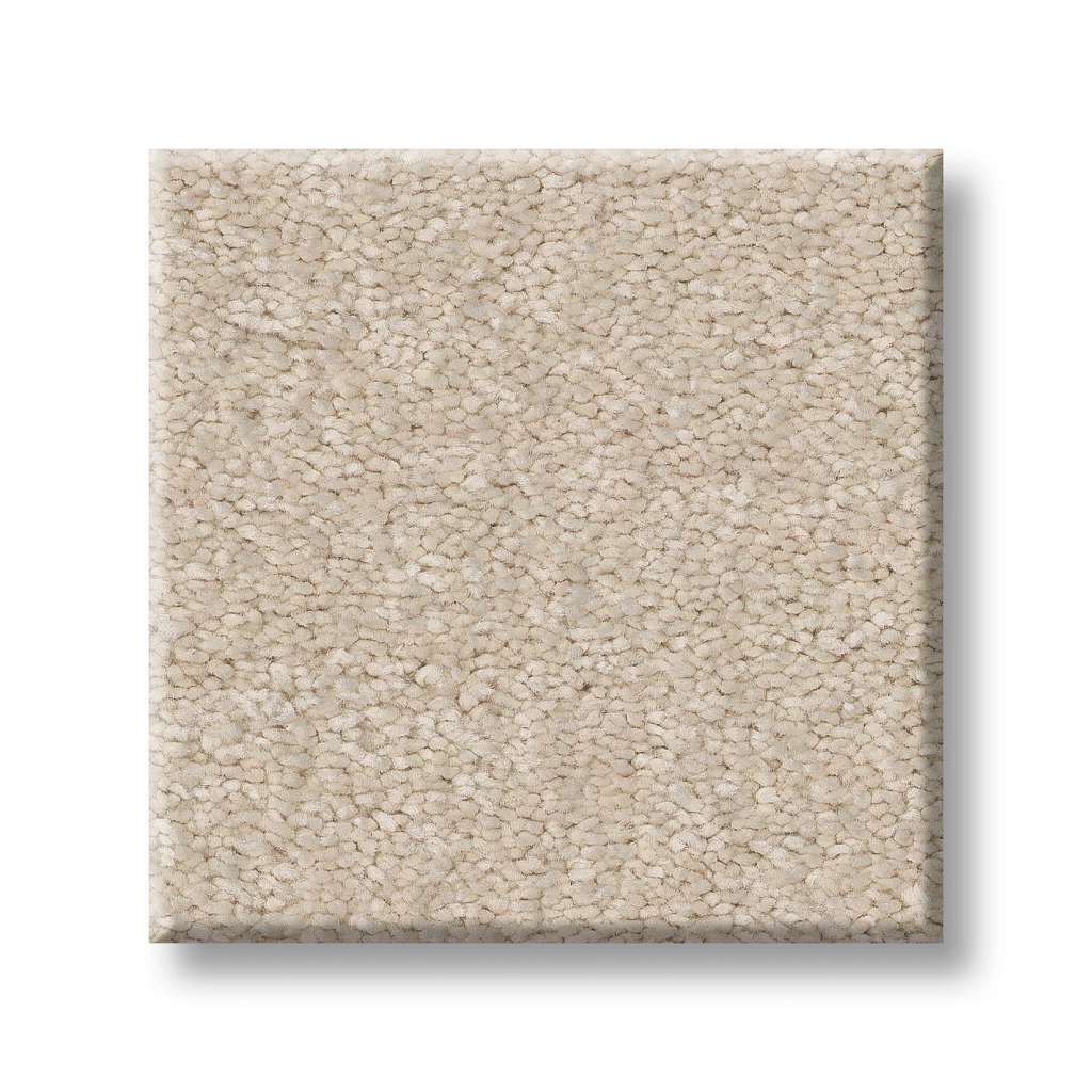 Exceptional I Carpet - Soft Landing  Swatch Image 