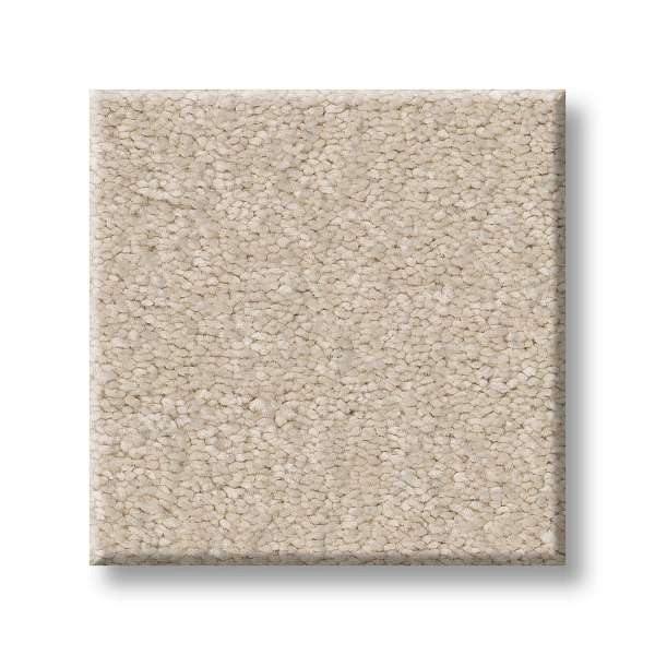 Style Exceptional I Carpet - Soft Landing Swatch