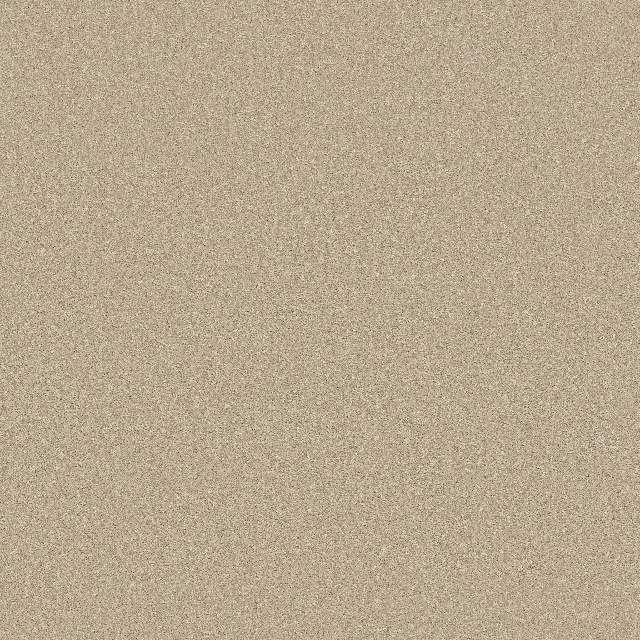 Exceptional I Carpet - Warm Breeze Zoomed Swatch Image
