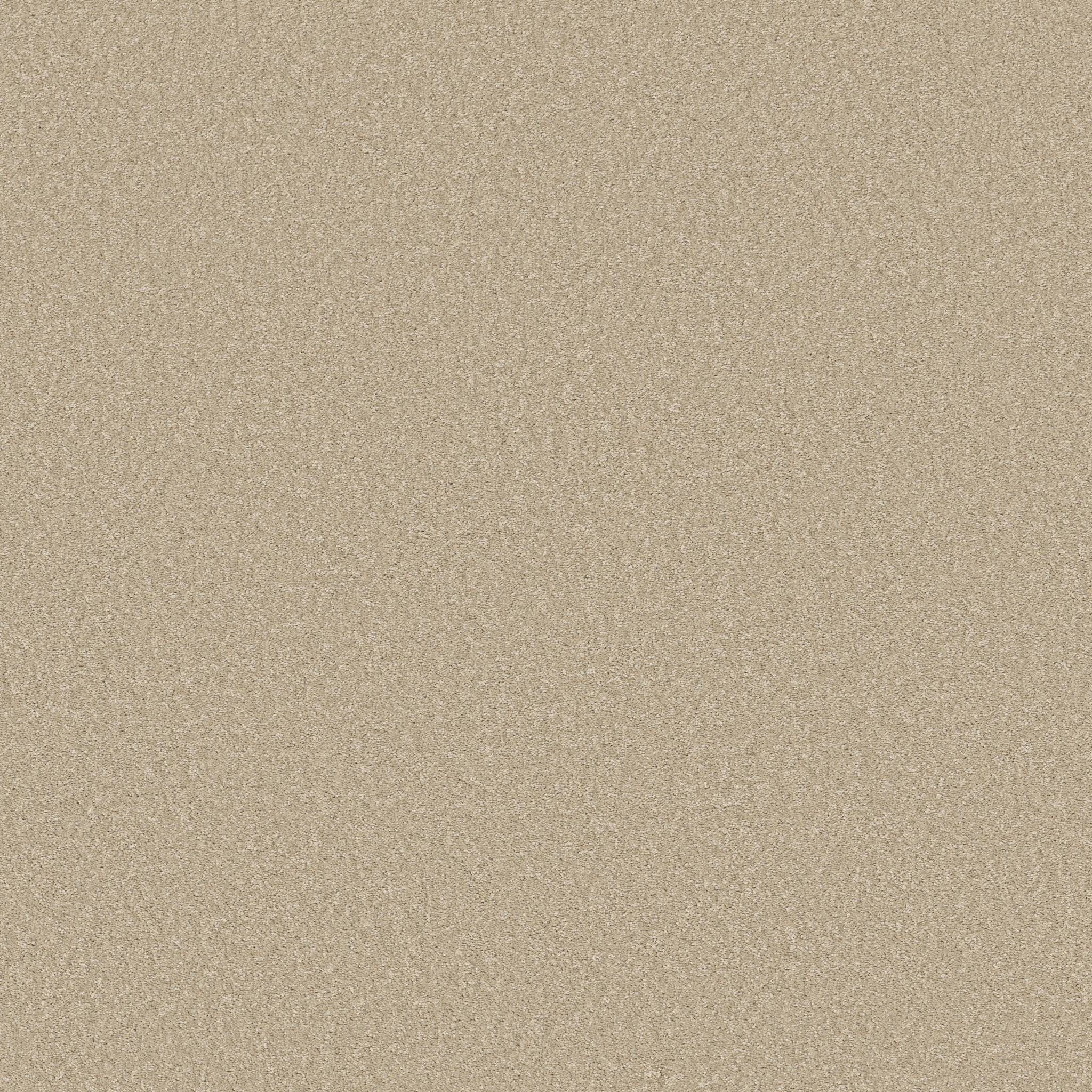 Exceptional I Carpet - Warm Breeze Zoomed Swatch Image