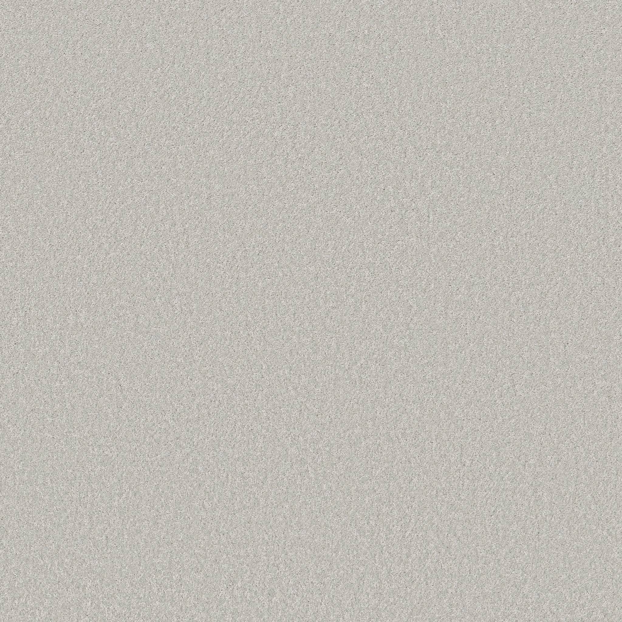 Exceptional I Carpet - Misty Zoomed Swatch Image