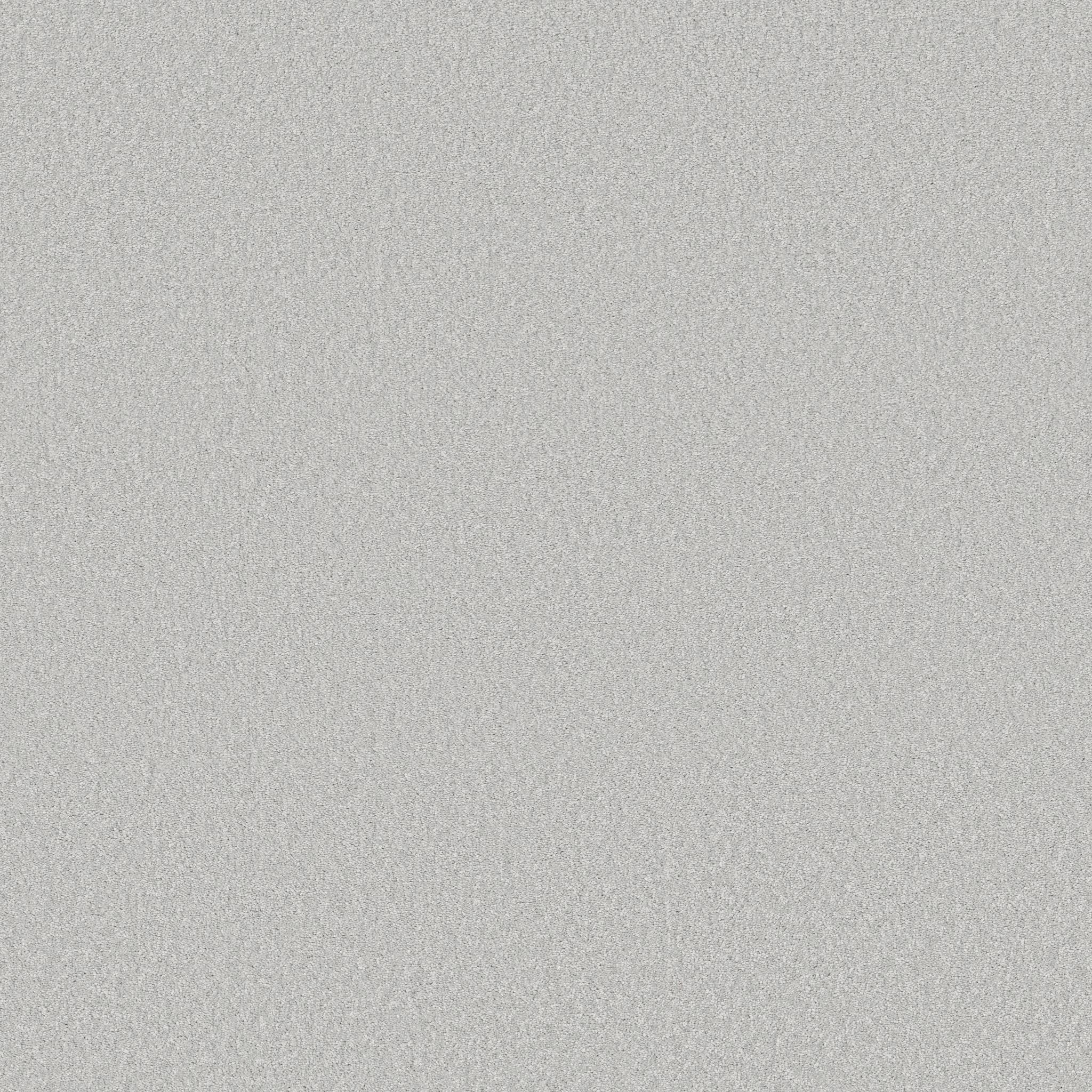 Exceptional I Carpet - Frost Zoomed Swatch Image
