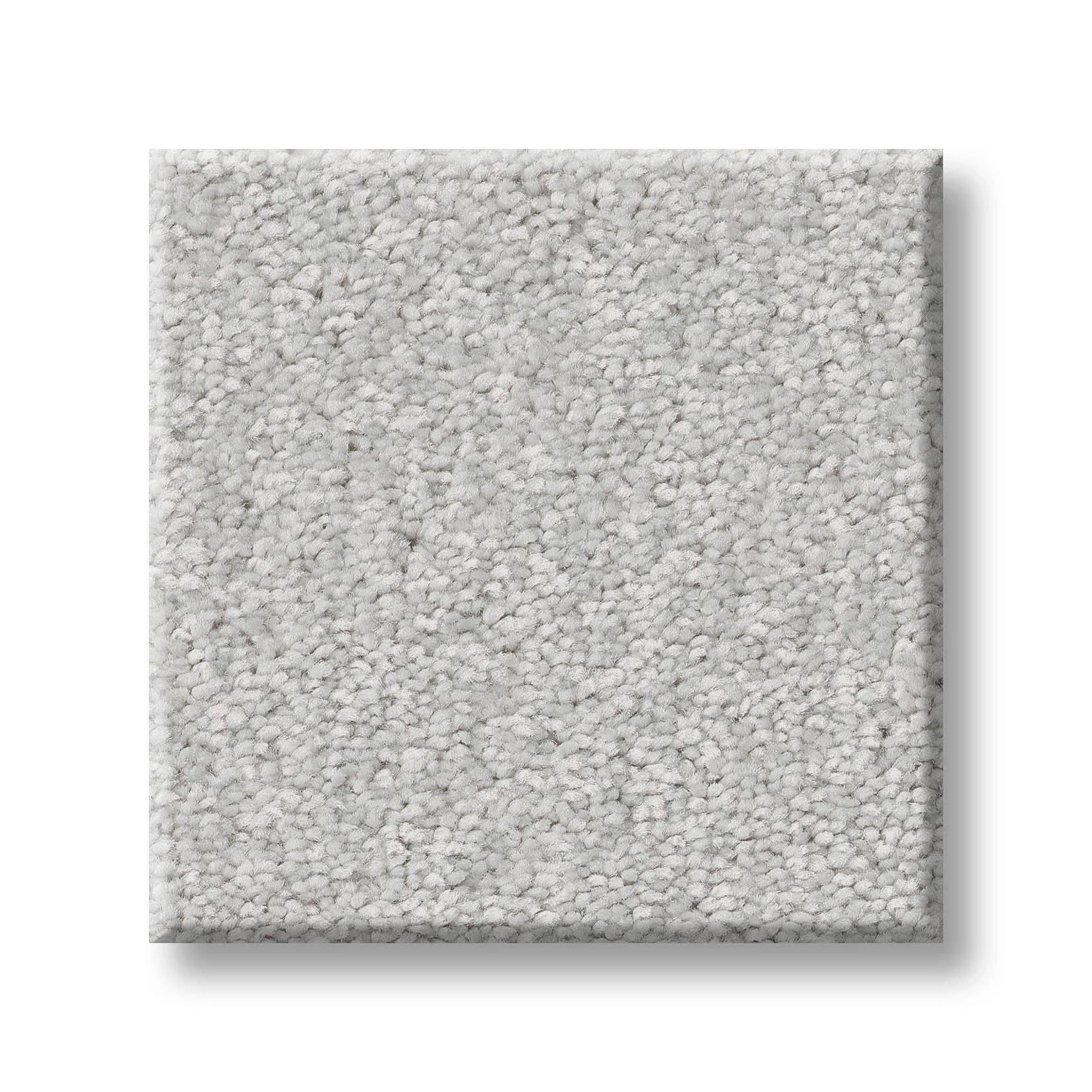 Exceptional I Carpet - Frost Swatch Thumbnail pupop1