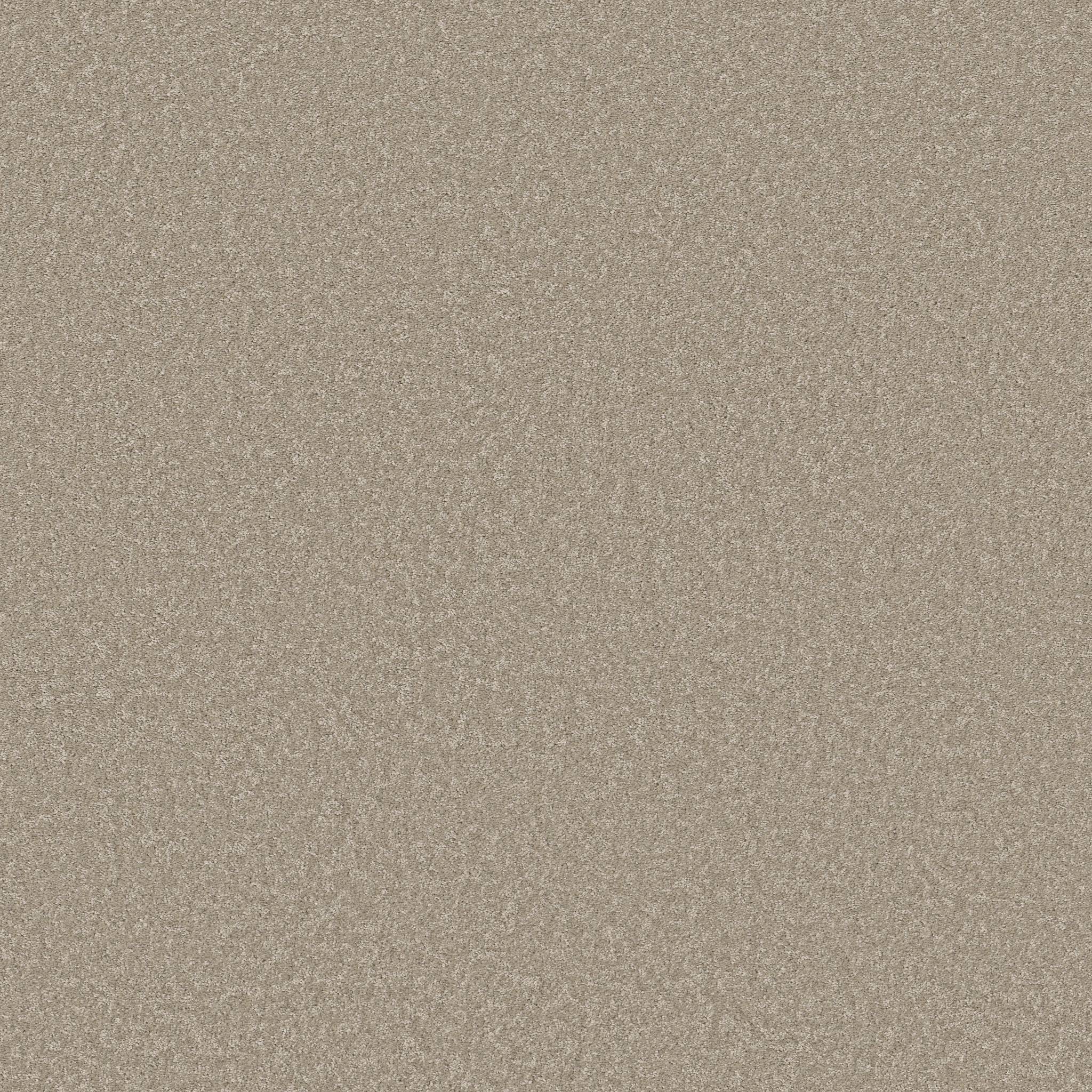 Exceptional I Carpet - Desert Khaki Zoomed Swatch Image