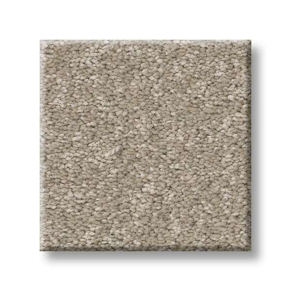 Style Exceptional I Carpet - Desert Khaki Swatch