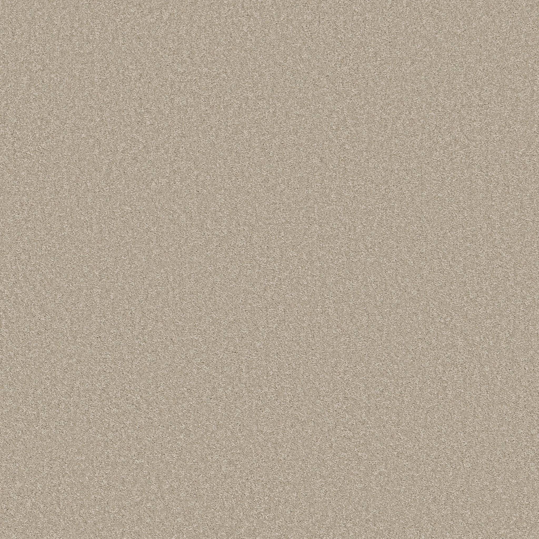Exceptional I Carpet - Adobe Sand Zoomed Swatch Image
