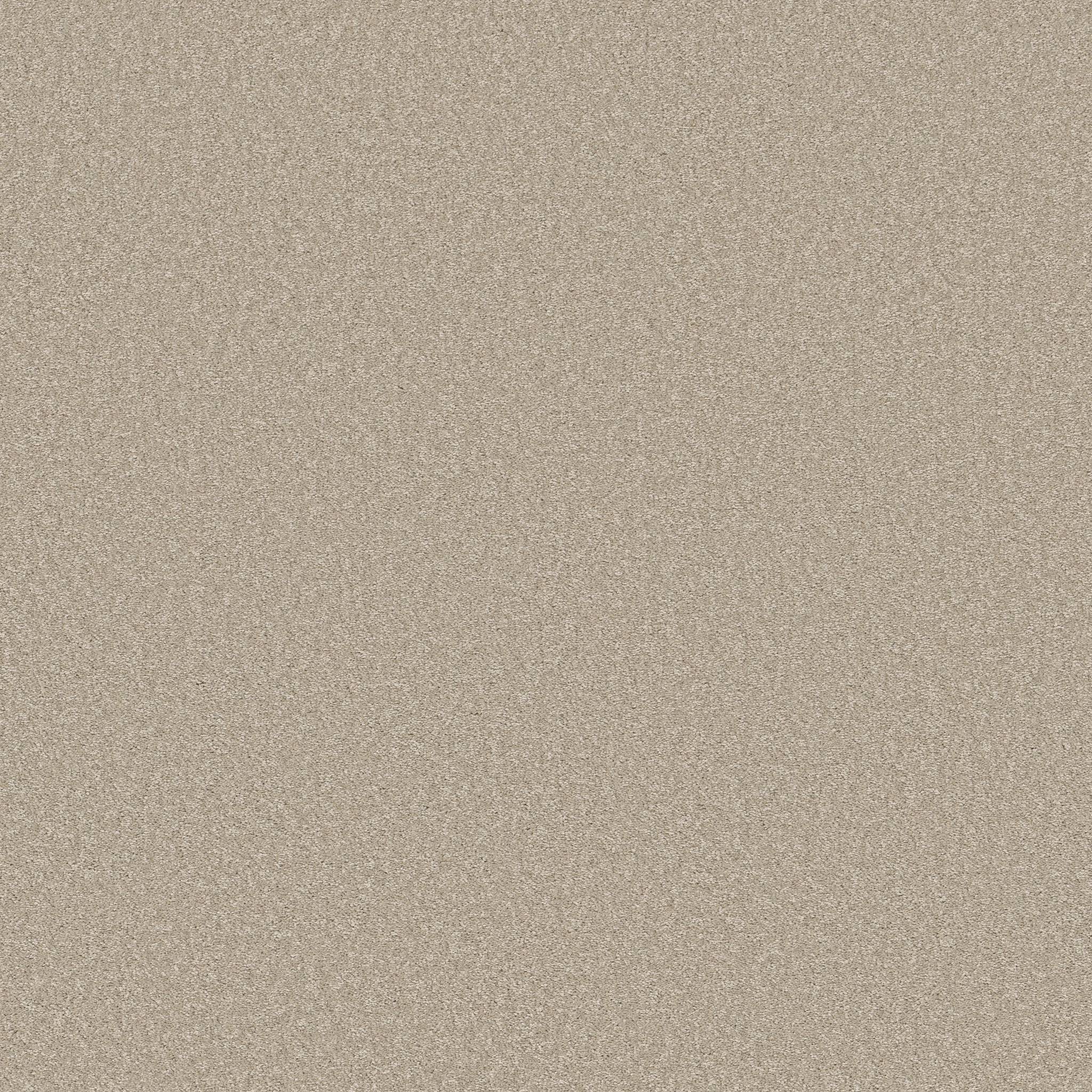 Exceptional I Carpet - Adobe Sand Zoomed Swatch Image