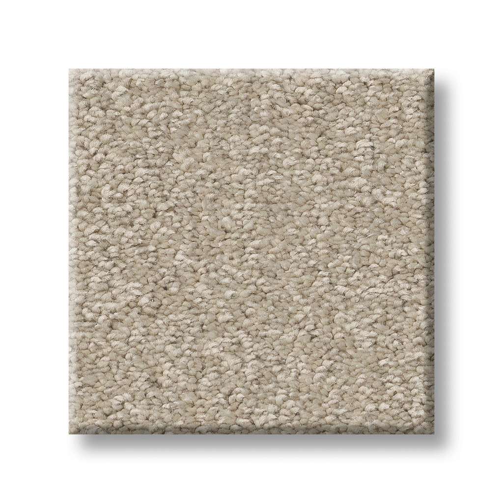 Exceptional I Carpet - Adobe Sand  Swatch Image 