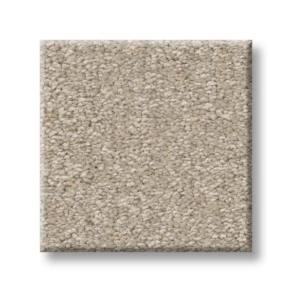 Style Exceptional I Carpet - Adobe Sand Swatch