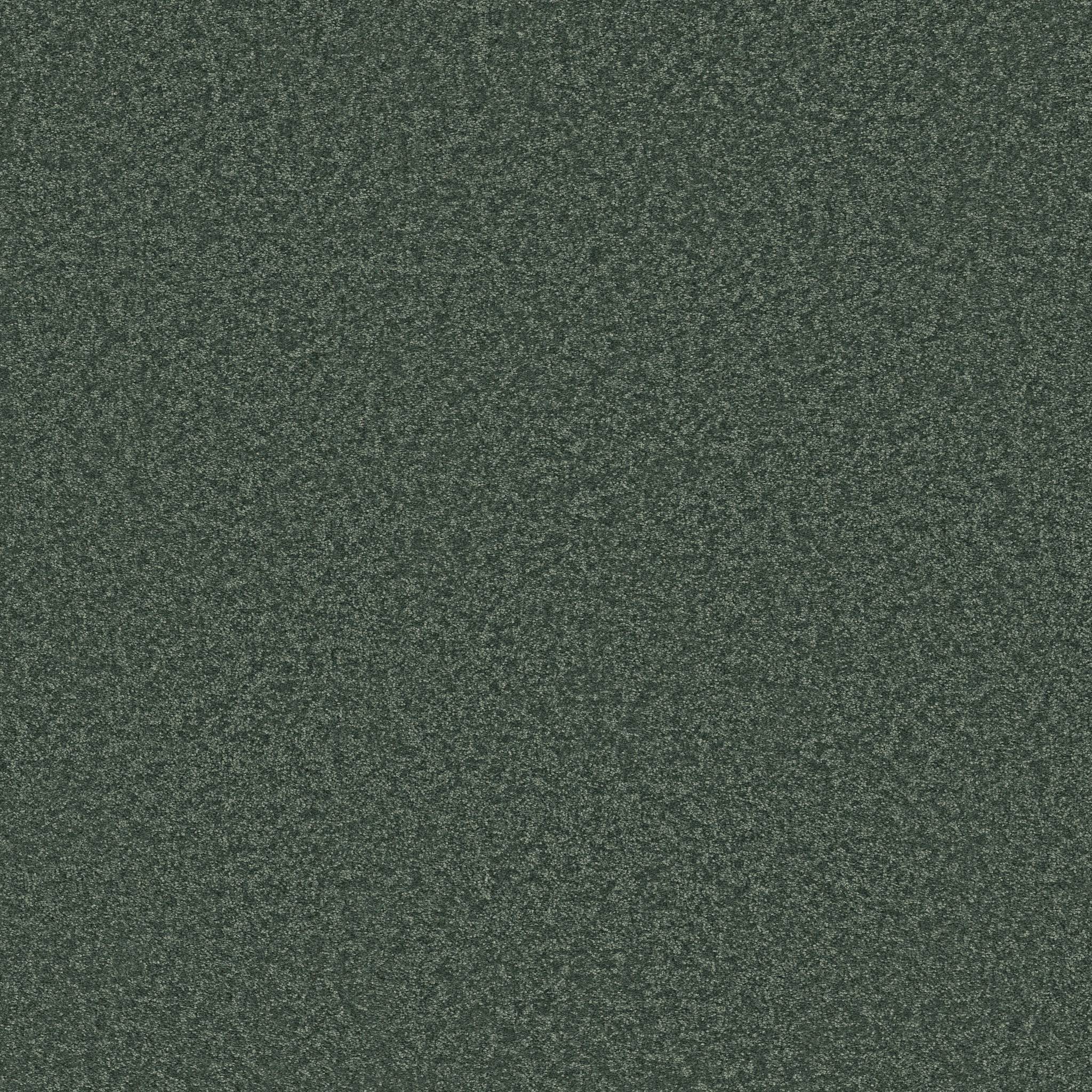 Exceptional I Carpet - Eco Green Zoomed Swatch Image