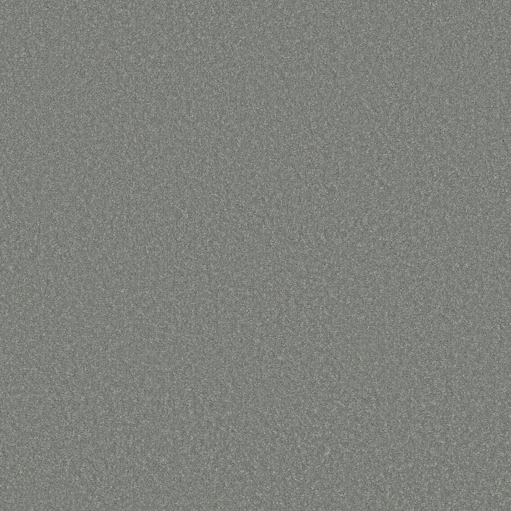 Exceptional I Carpet - Dolphin Fin Zoomed Swatch Image