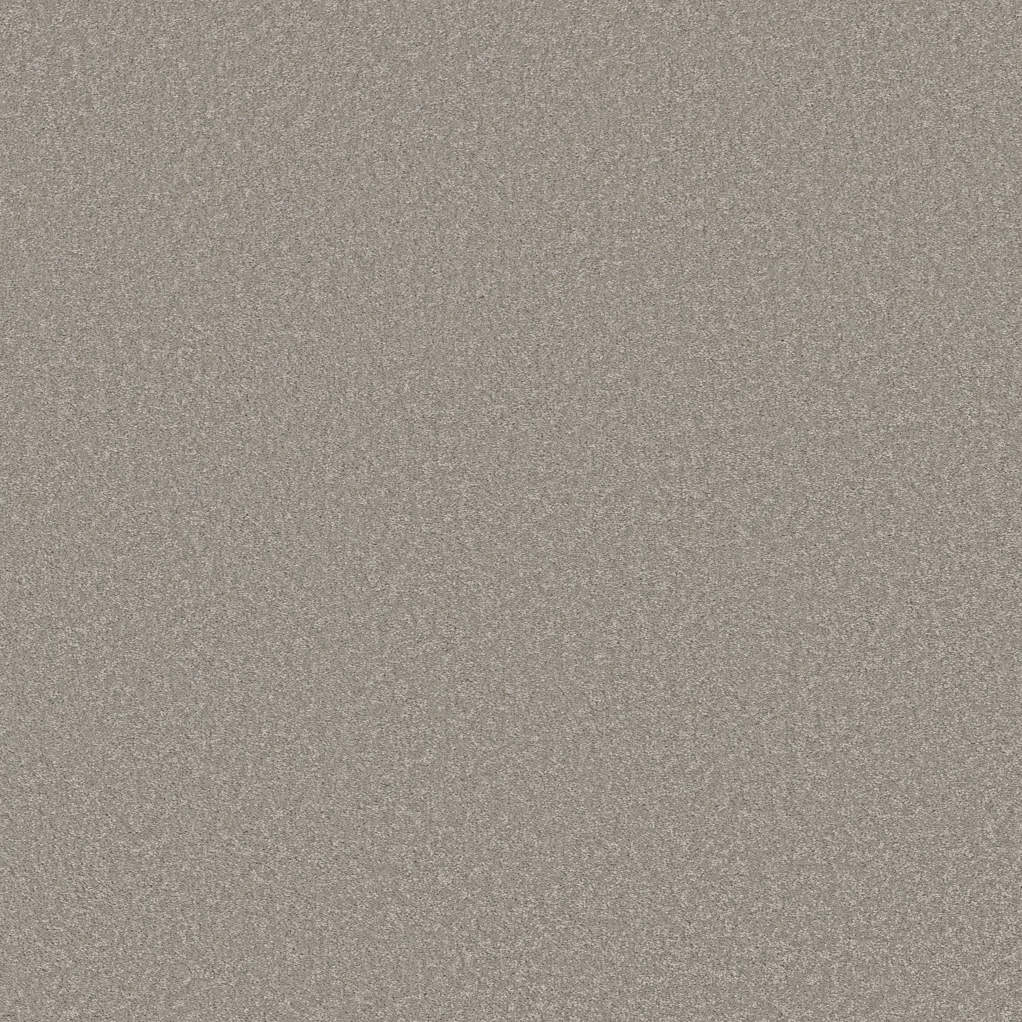 Exceptional I Carpet - Taupe Tone Zoomed Swatch Image