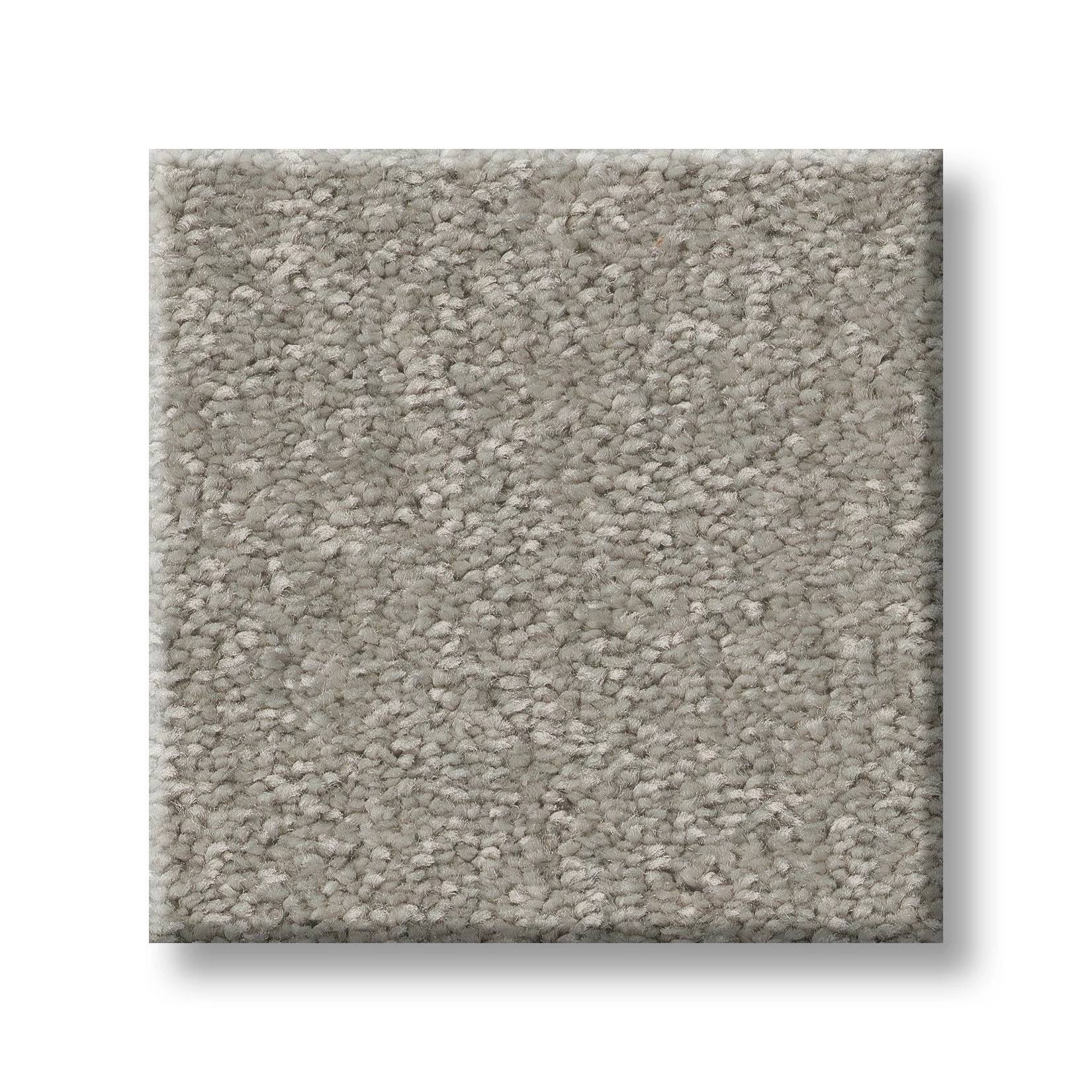 Exceptional I Carpet - Taupe Tone Swatch Thumbnail pupop1