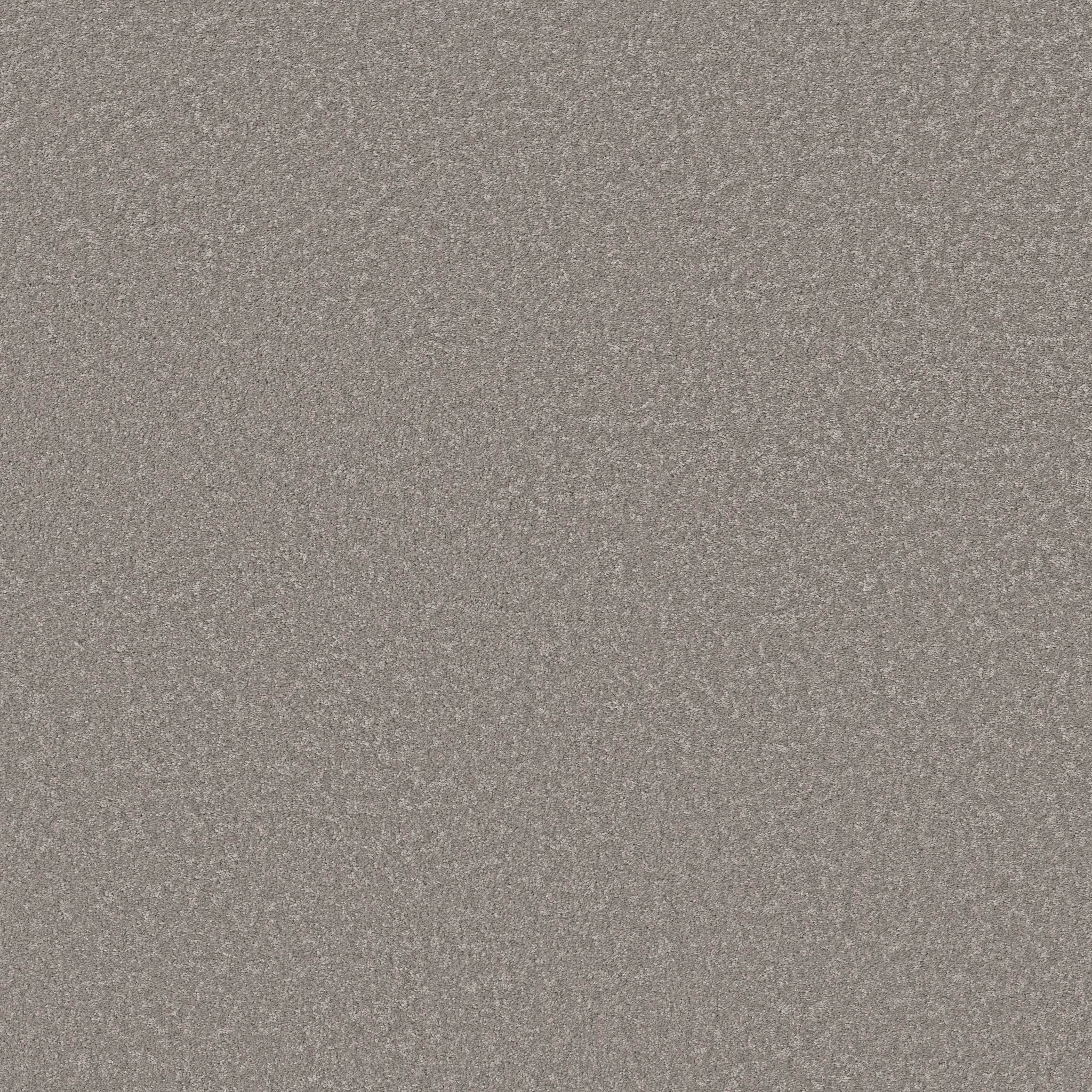 Exceptional I Carpet - Chicago Fog Zoomed Swatch Image