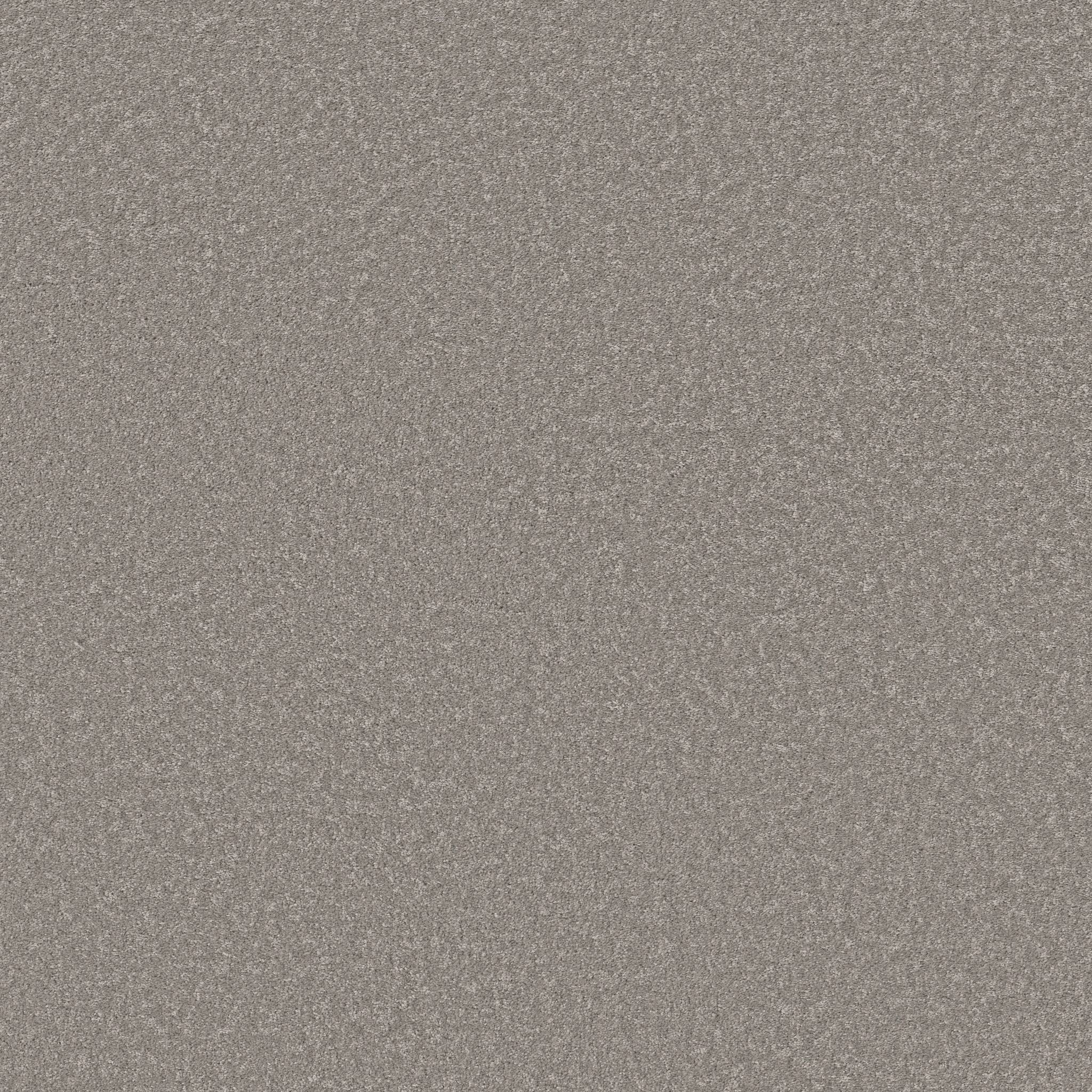 Exceptional I Carpet - Chicago Fog Zoomed Swatch Image