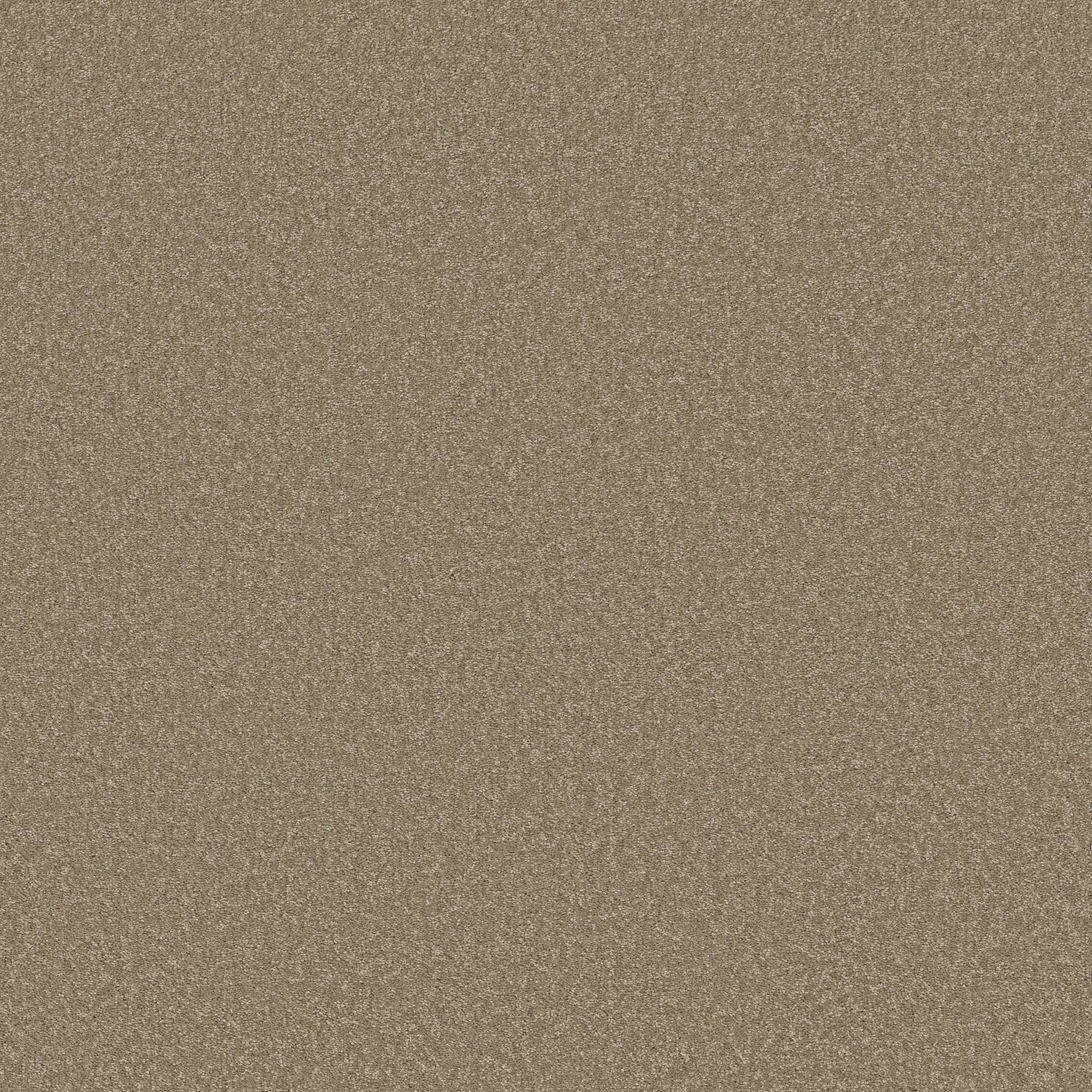 Exceptional I Carpet - Hidden Treasure Zoomed Swatch Image