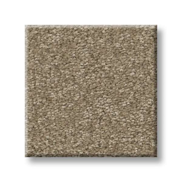 Style Exceptional I Carpet - Hidden Treasure Swatch