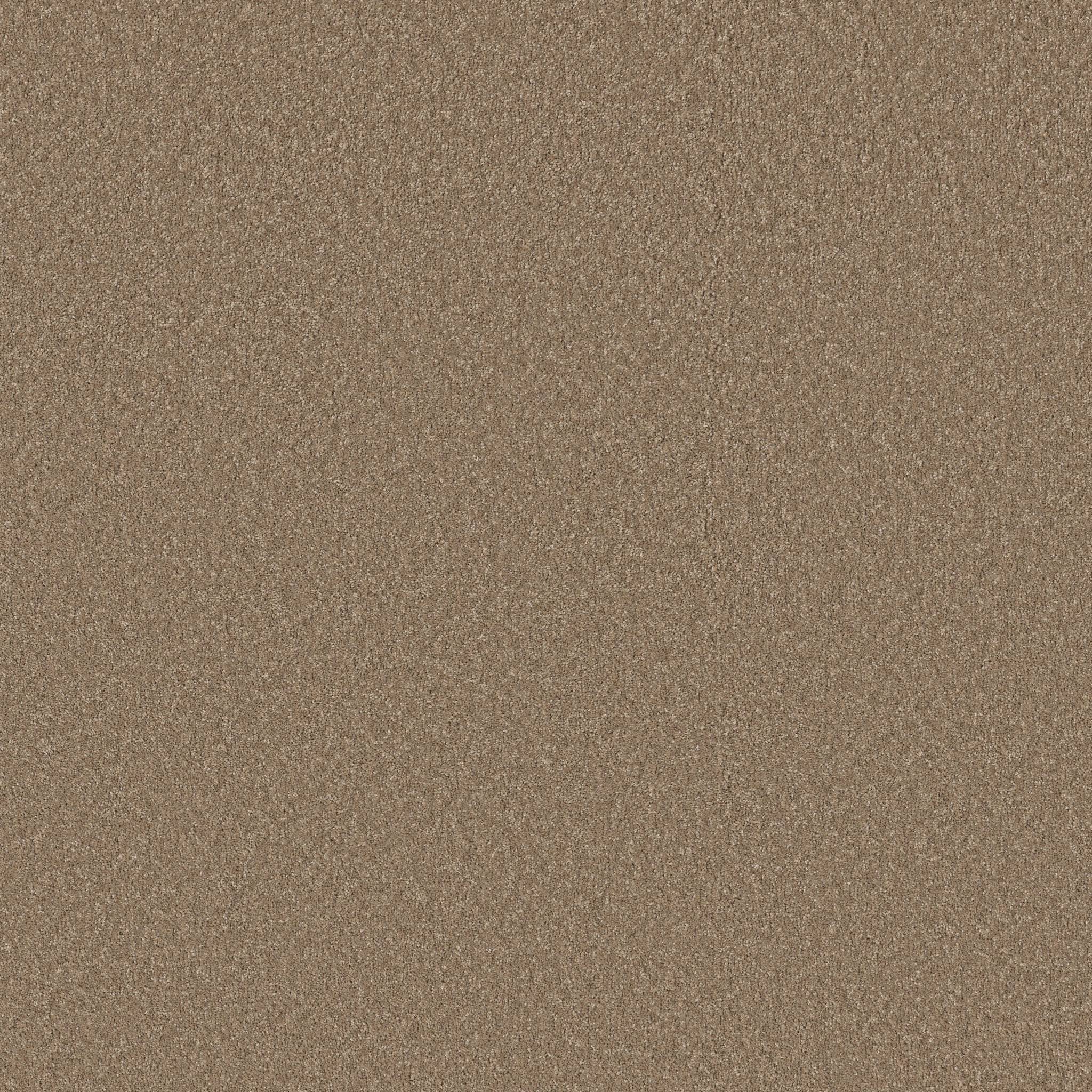 Exceptional I Carpet - Polo Tan Zoomed Swatch Image