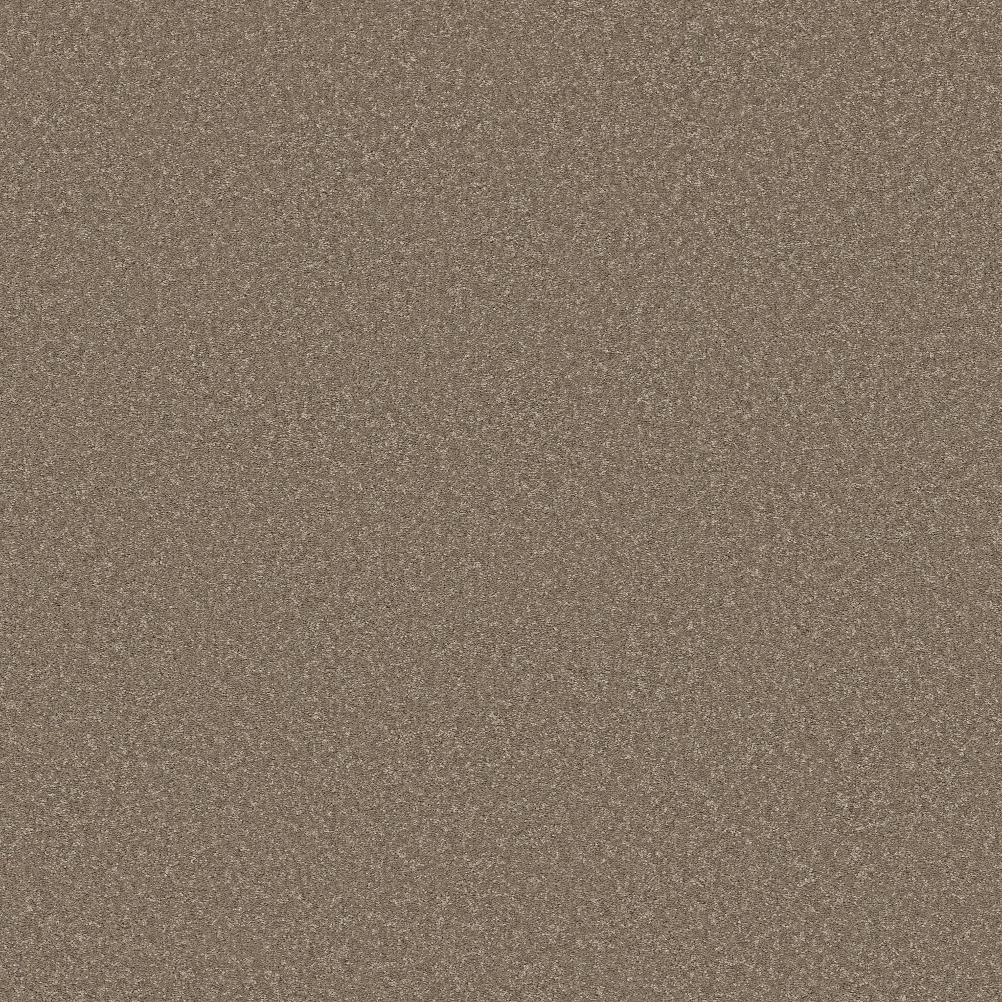 Exceptional I Carpet - Chic Taupe Zoomed Swatch Image