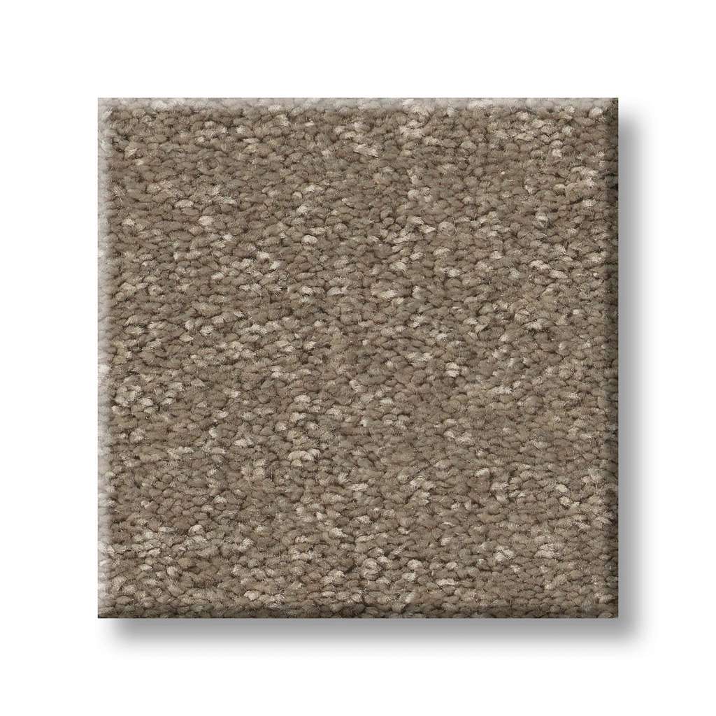 Exceptional I Carpet - Chic Taupe  Swatch Image 