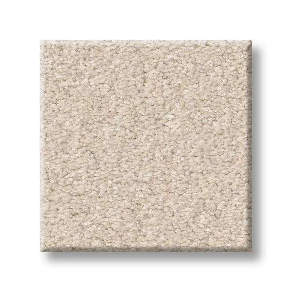 Style Exceptional II Carpet - Soft Landing Swatch