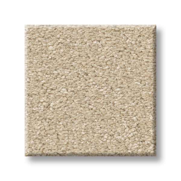 Style Exceptional II Carpet - Warm Breeze Swatch