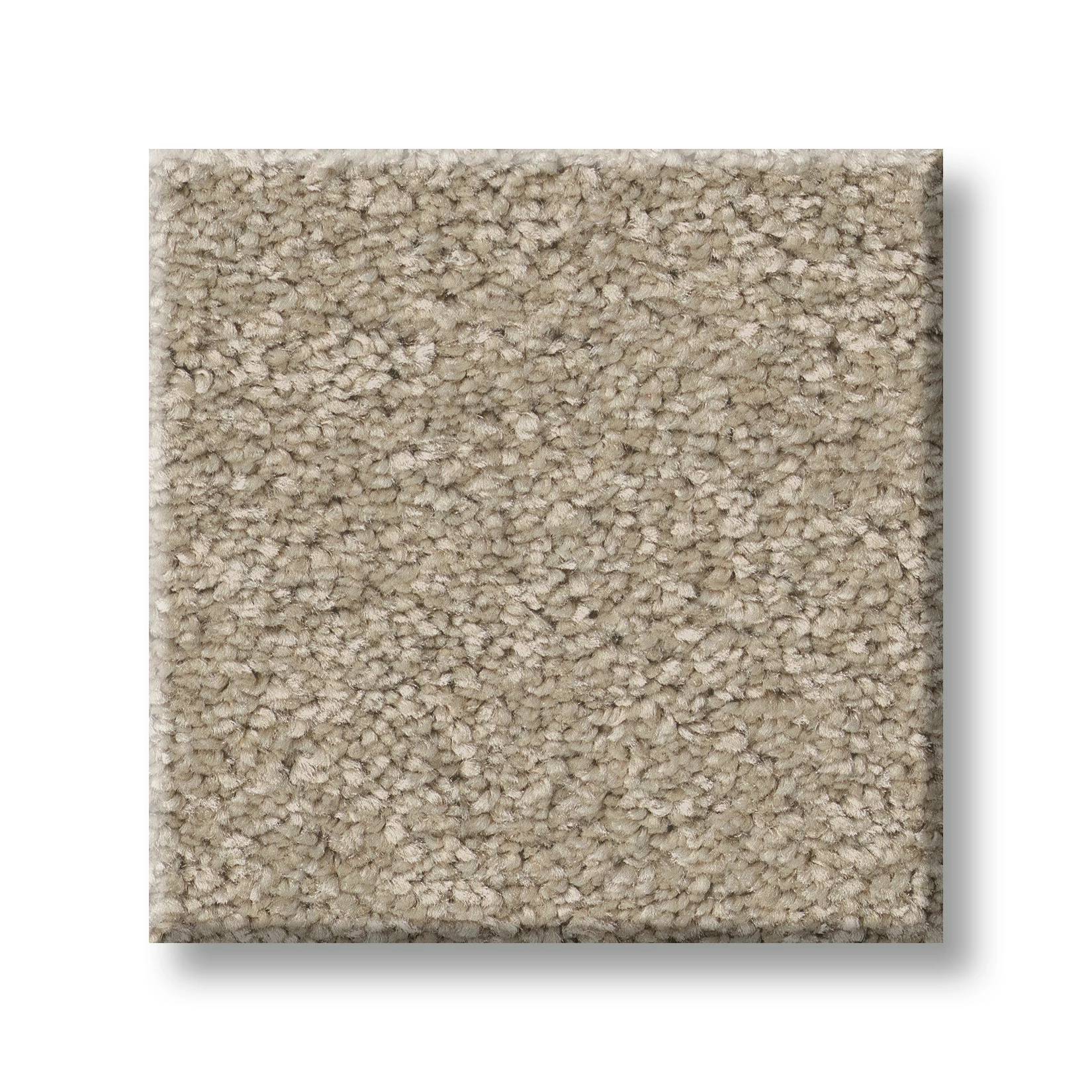Exceptional II Carpet - Desert Khaki Swatch Thumbnail pupop1