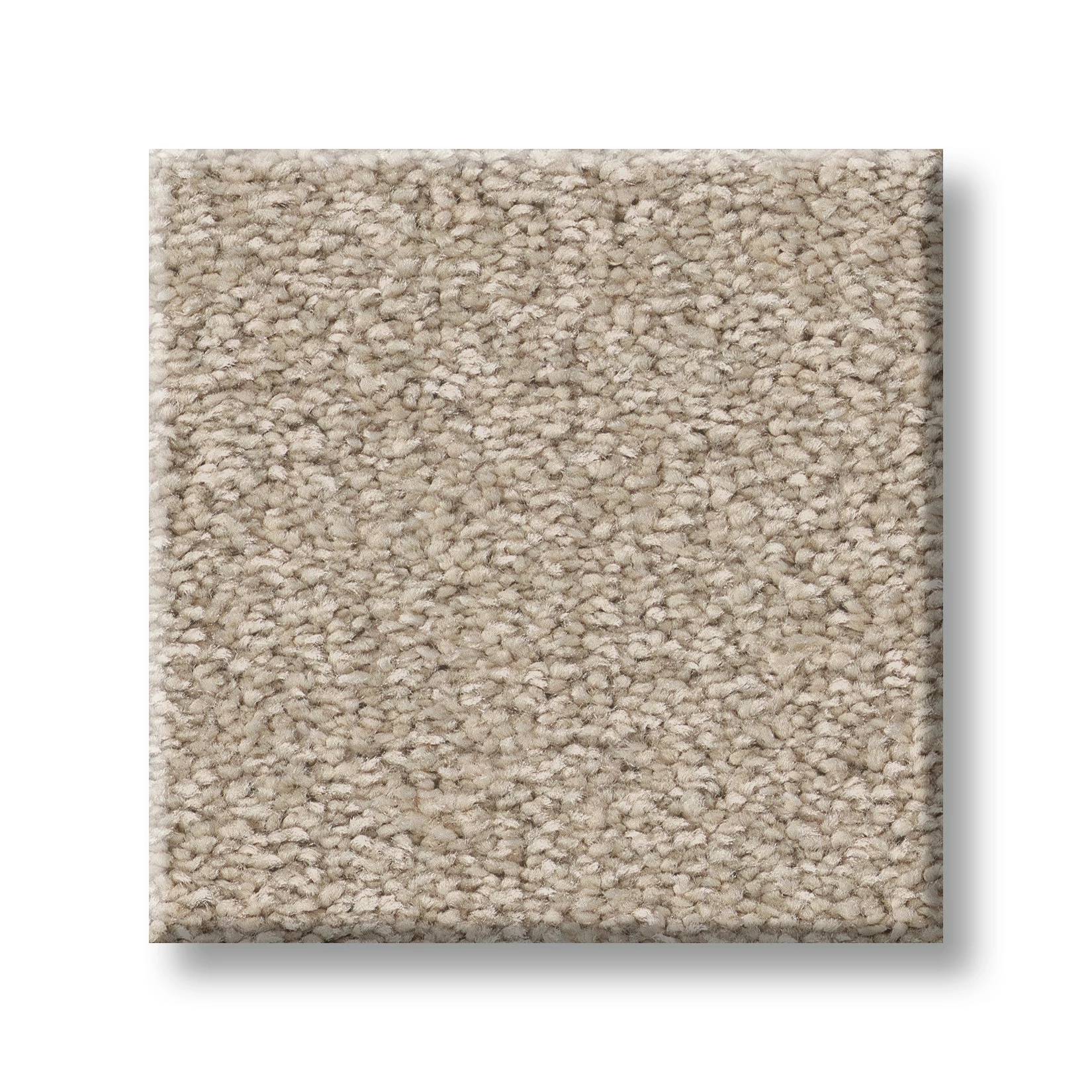 Exceptional II Carpet - Adobe Sand Swatch Thumbnail pupop1
