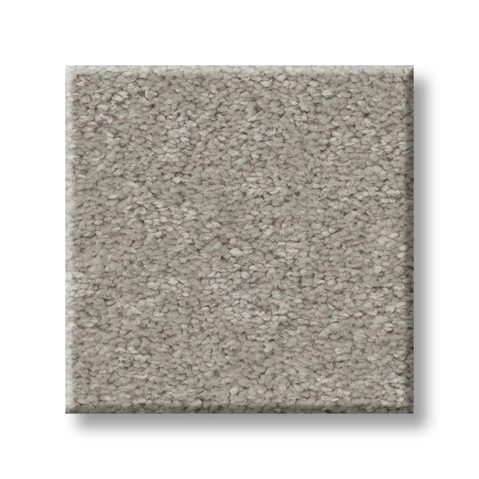 Exceptional II Carpet - Taupe Tone Swatch Thumbnail pupop1