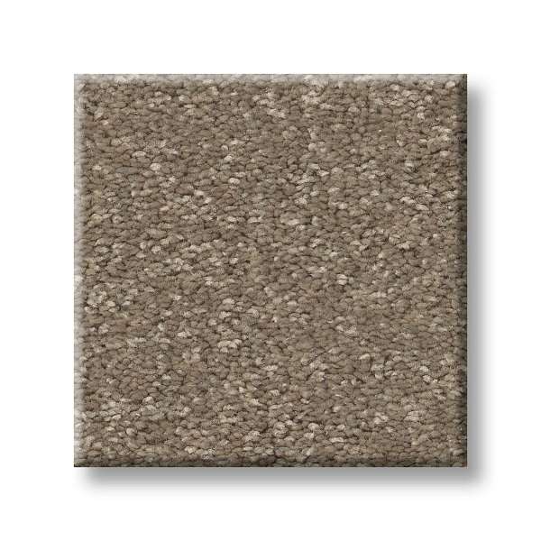 Style Exceptional II Carpet - Chic Taupe Swatch