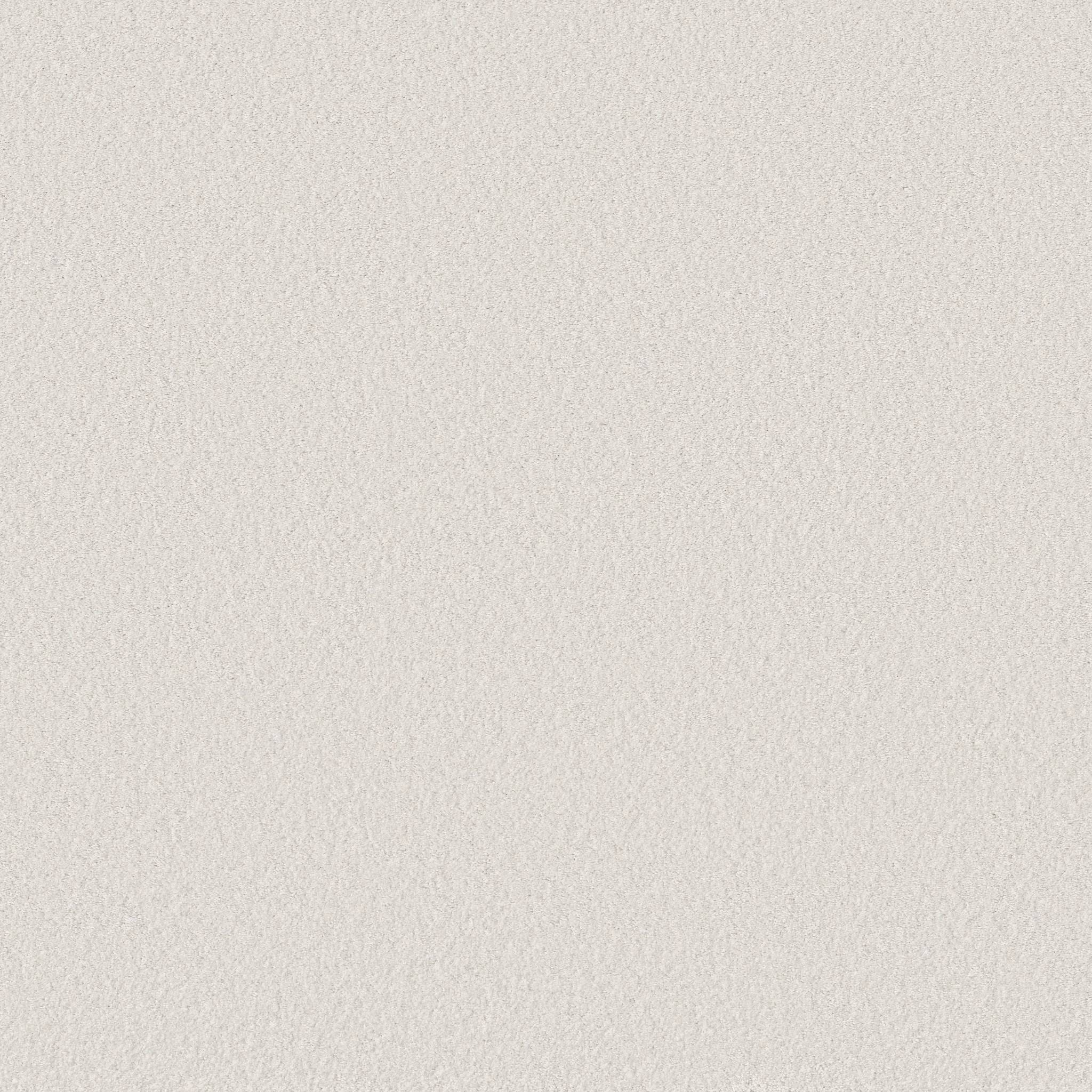 Exceptional III Carpet - Drifting Snow Zoomed Swatch Image