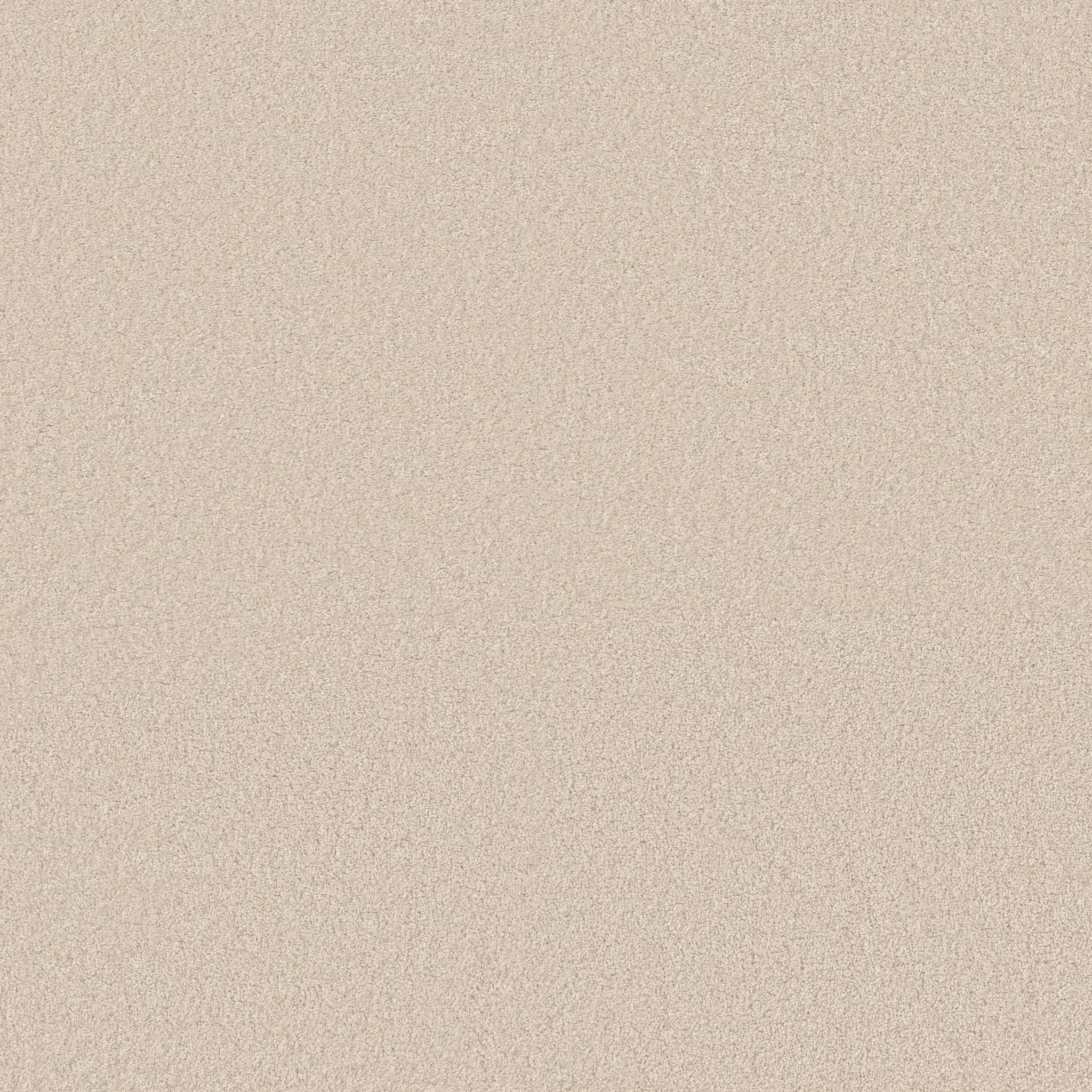 Exceptional III Carpet - Soft Landing Zoomed Swatch Image