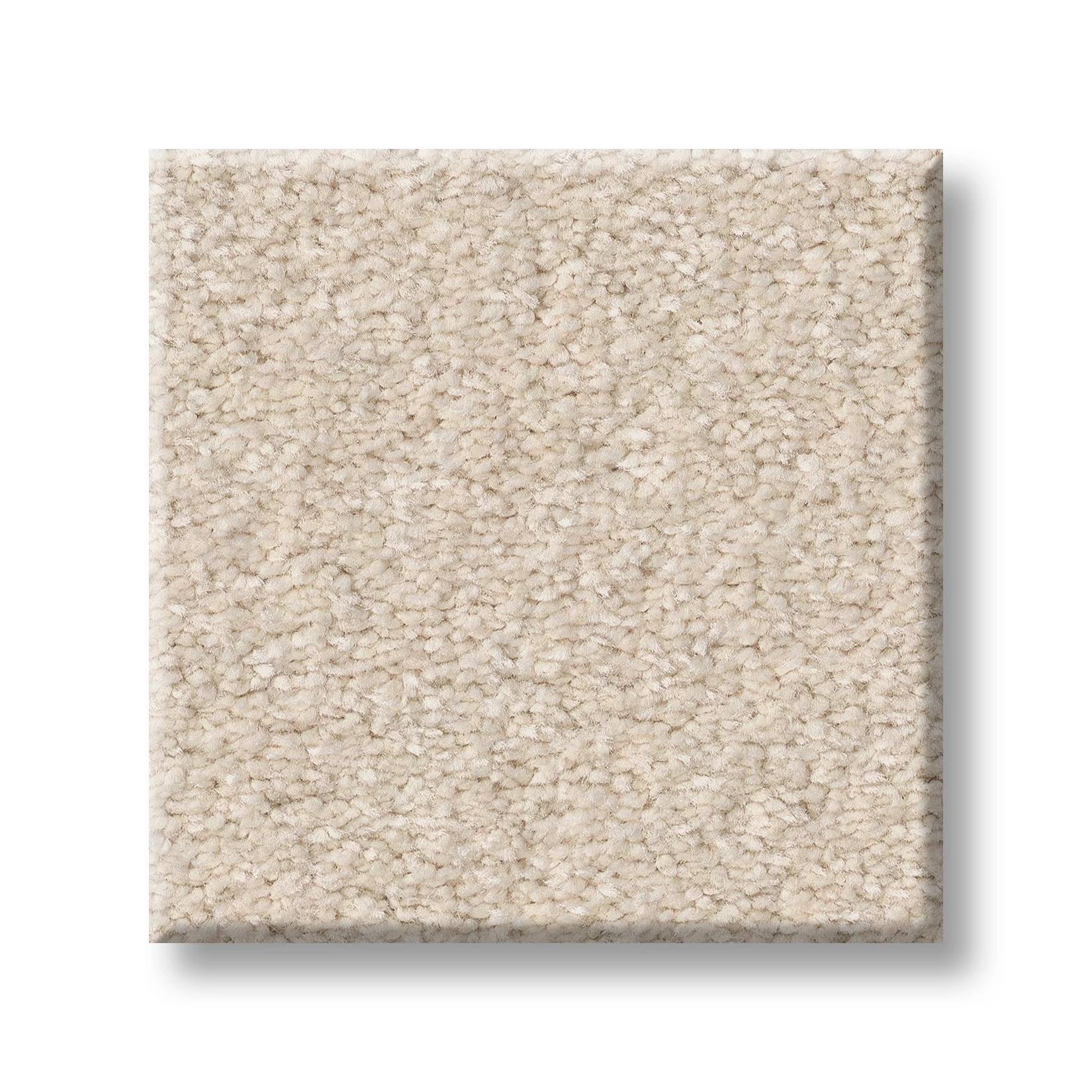 Exceptional III Carpet - Soft Landing Swatch Thumbnail pupop1