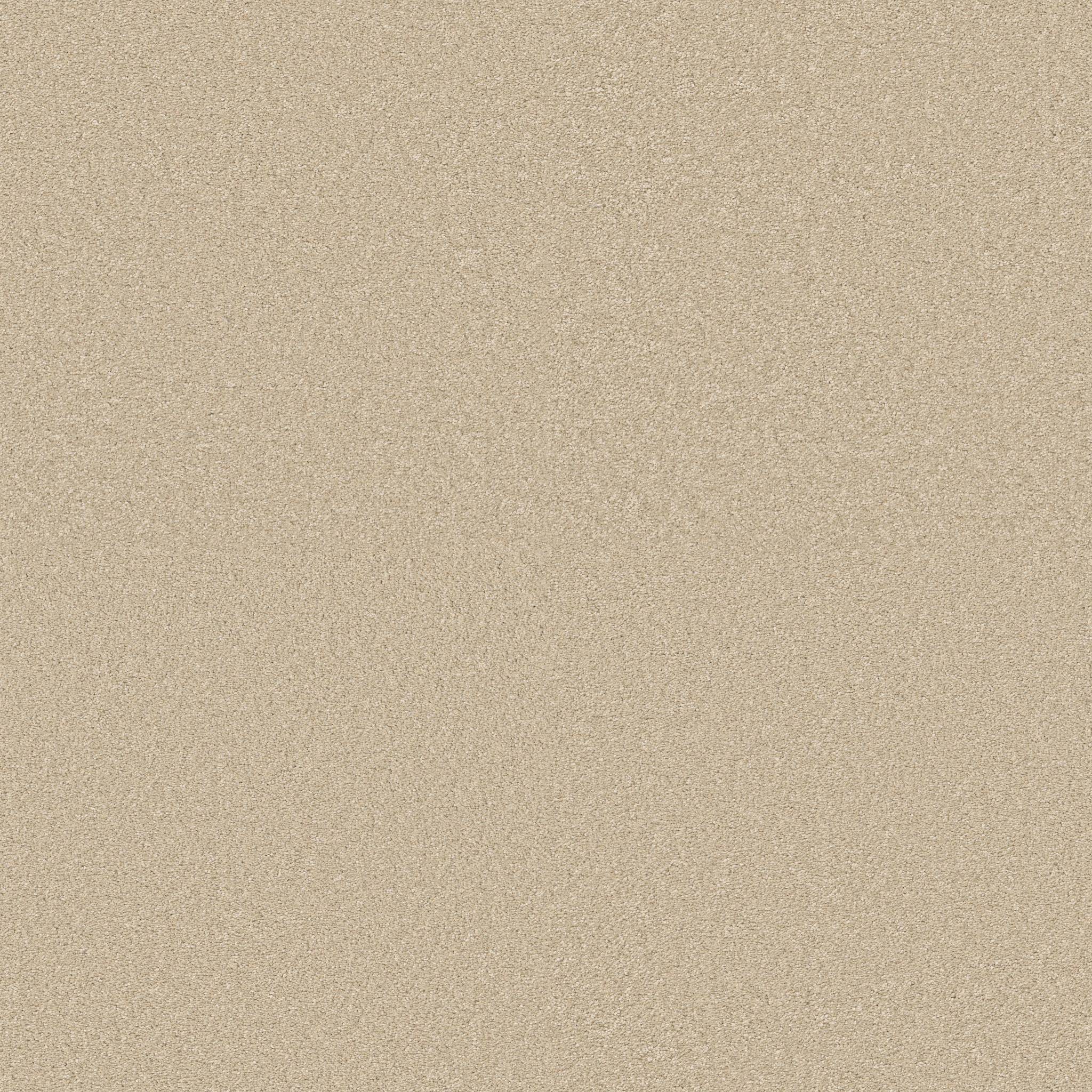 Exceptional III Carpet - Warm Breeze Zoomed Swatch Image
